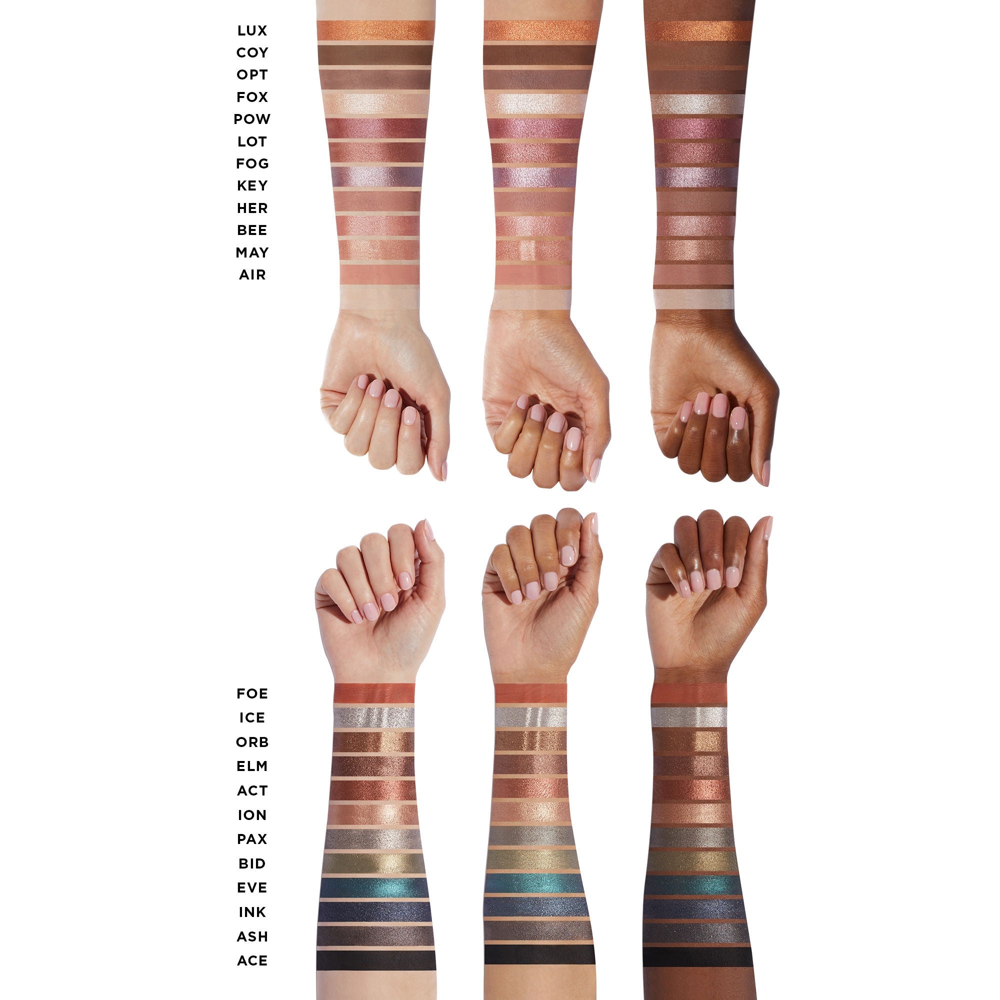 Curator Eyeshadow