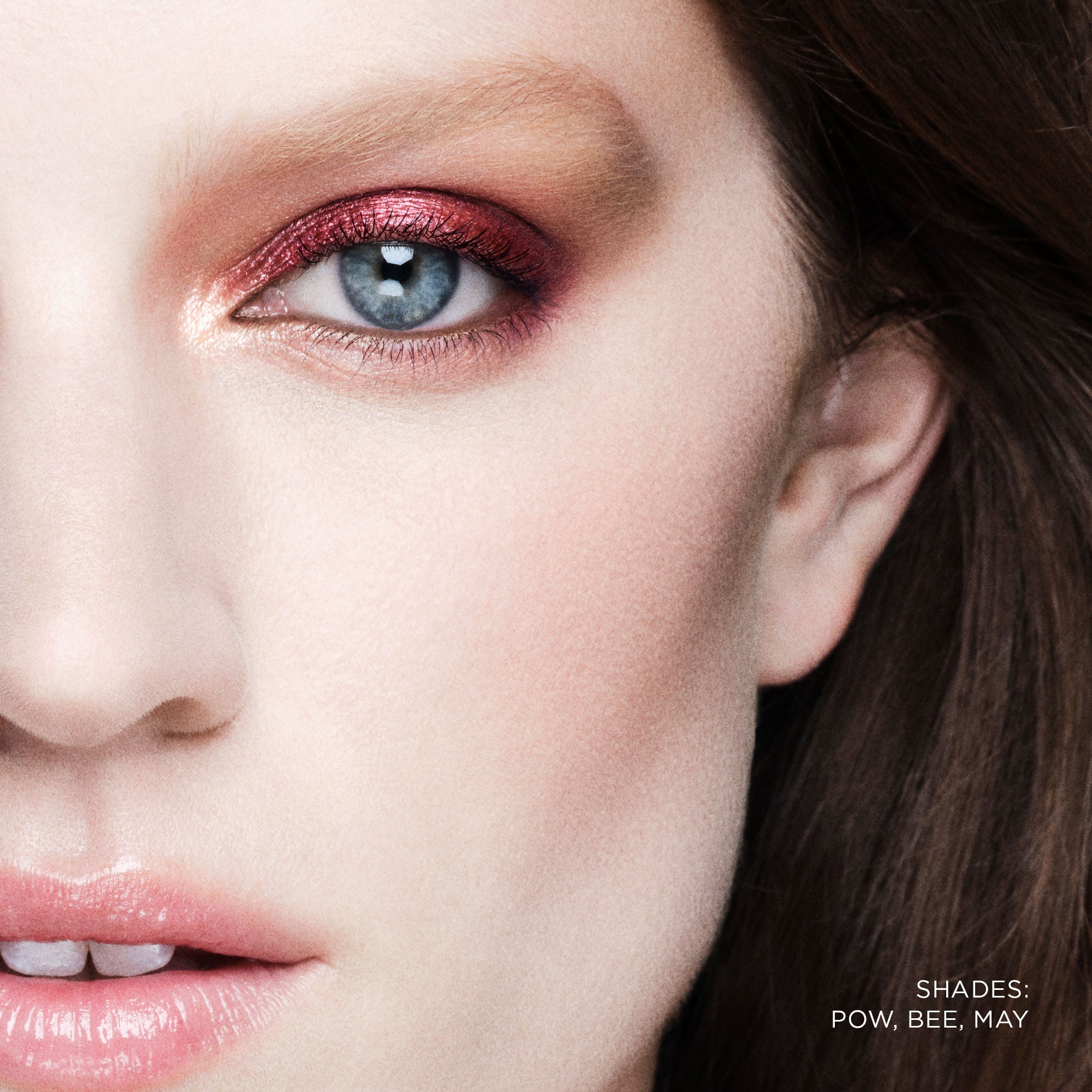 Curator Eyeshadow