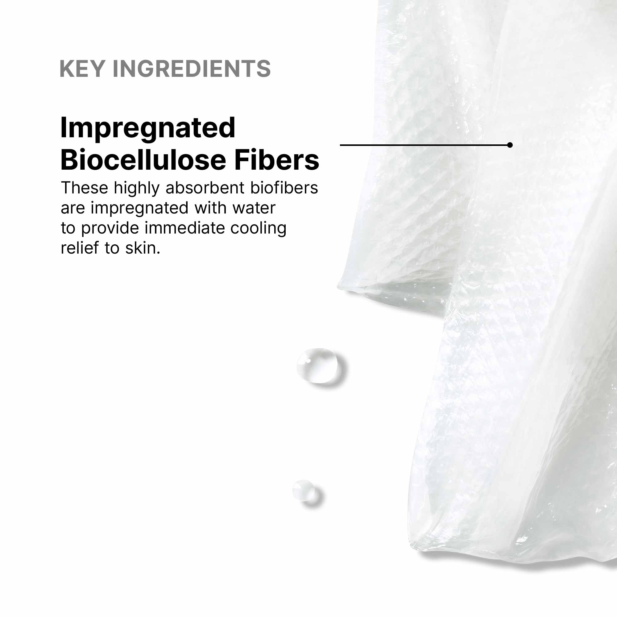 Biocellulose Restorative Masque