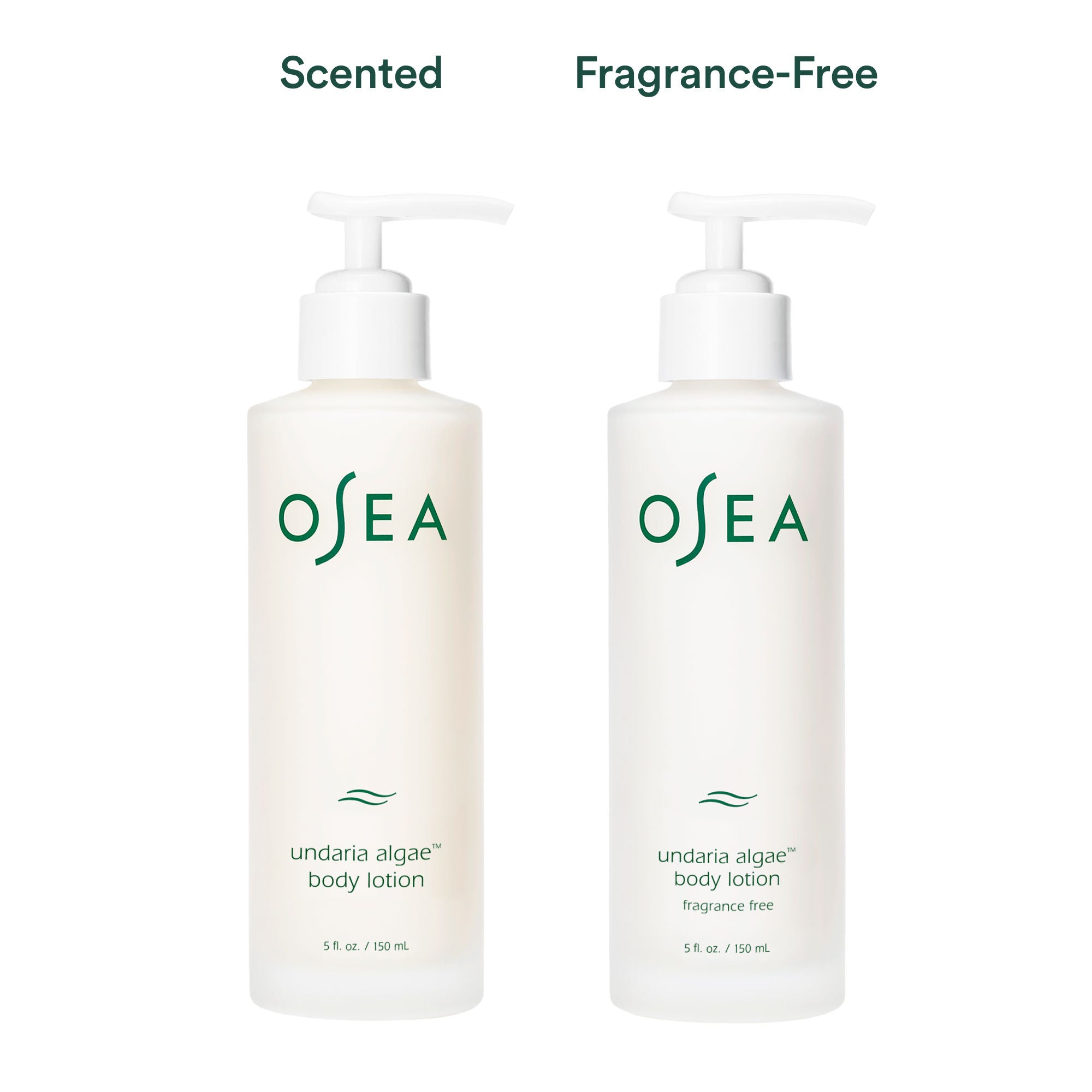 Undaria Algae Body Lotion