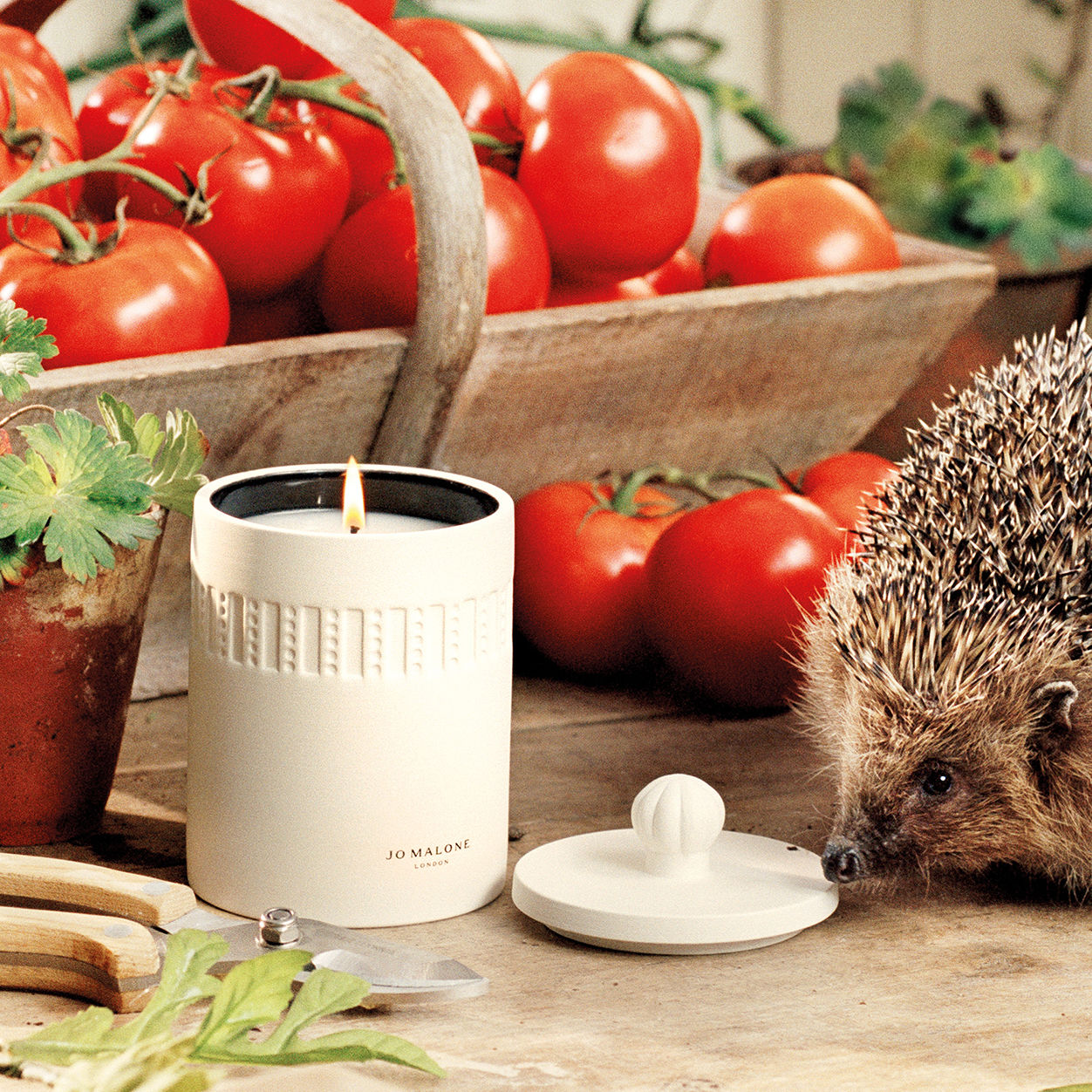 Green Tomato Vine Townhouse Candle