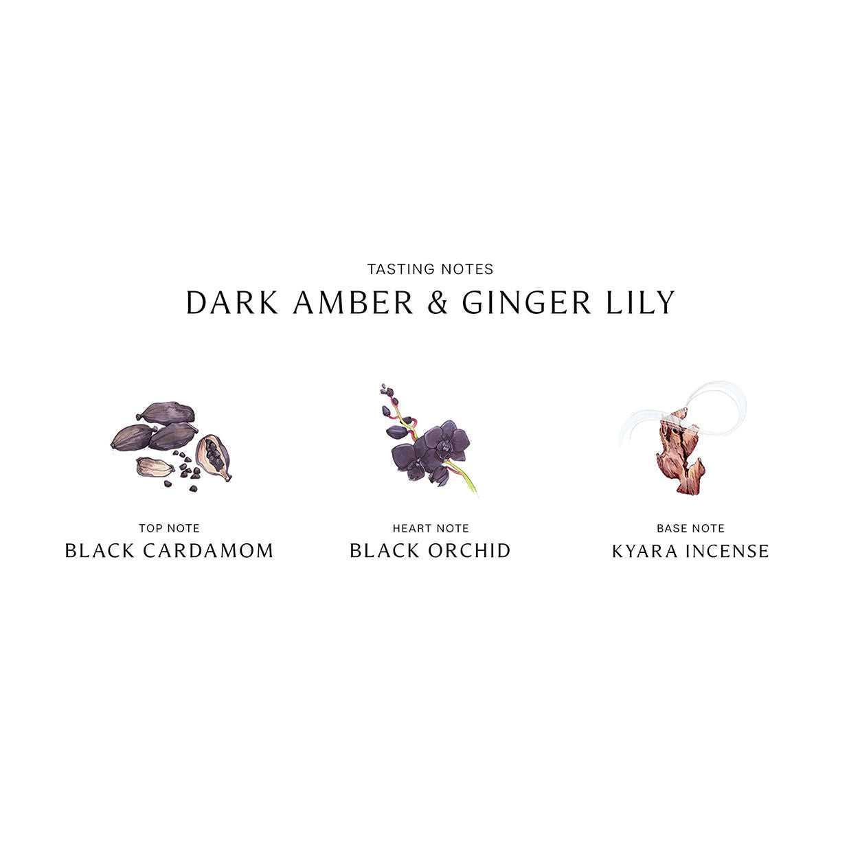 Dark Amber and Ginger Lily Home Candle