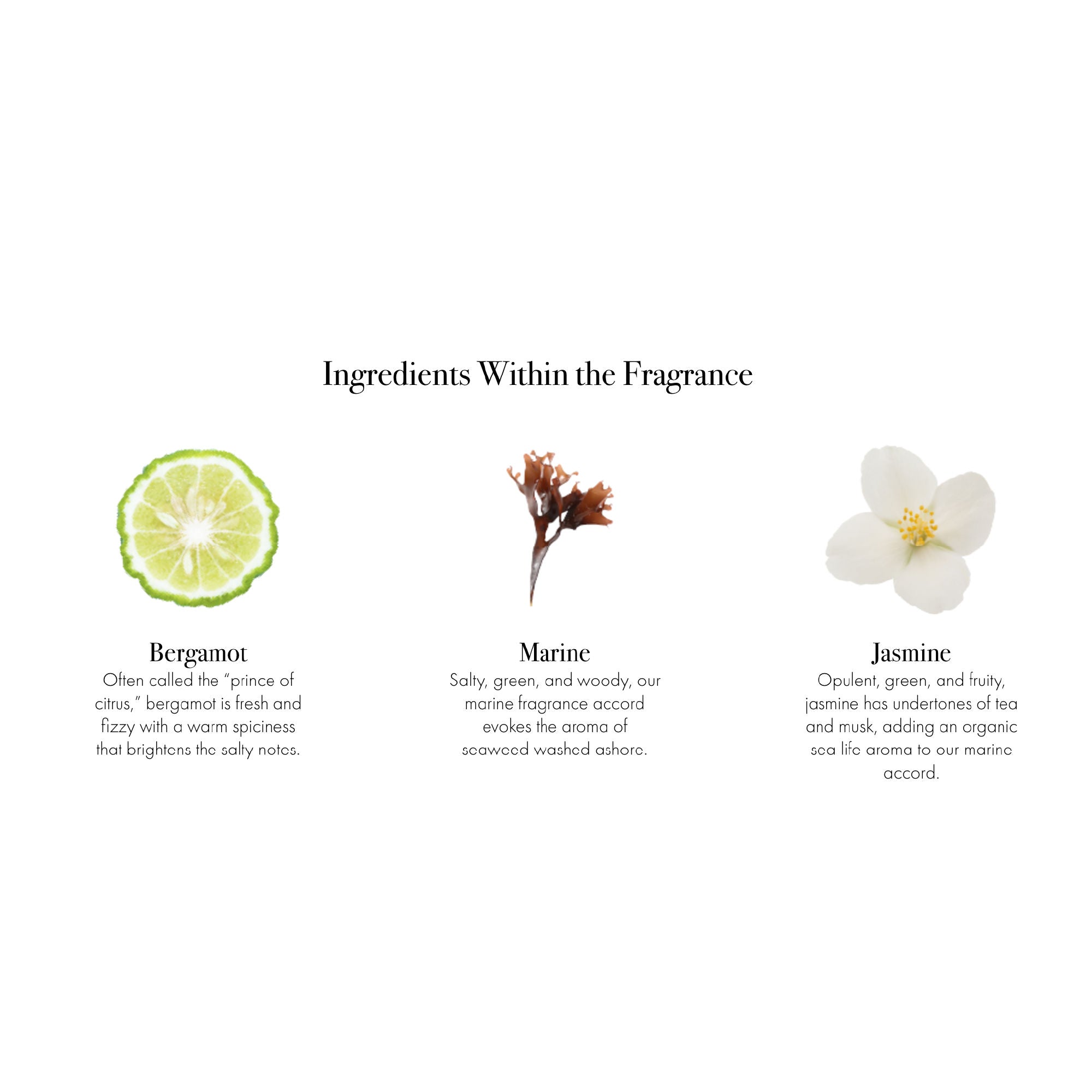 Marine Reed Diffuser Refill
