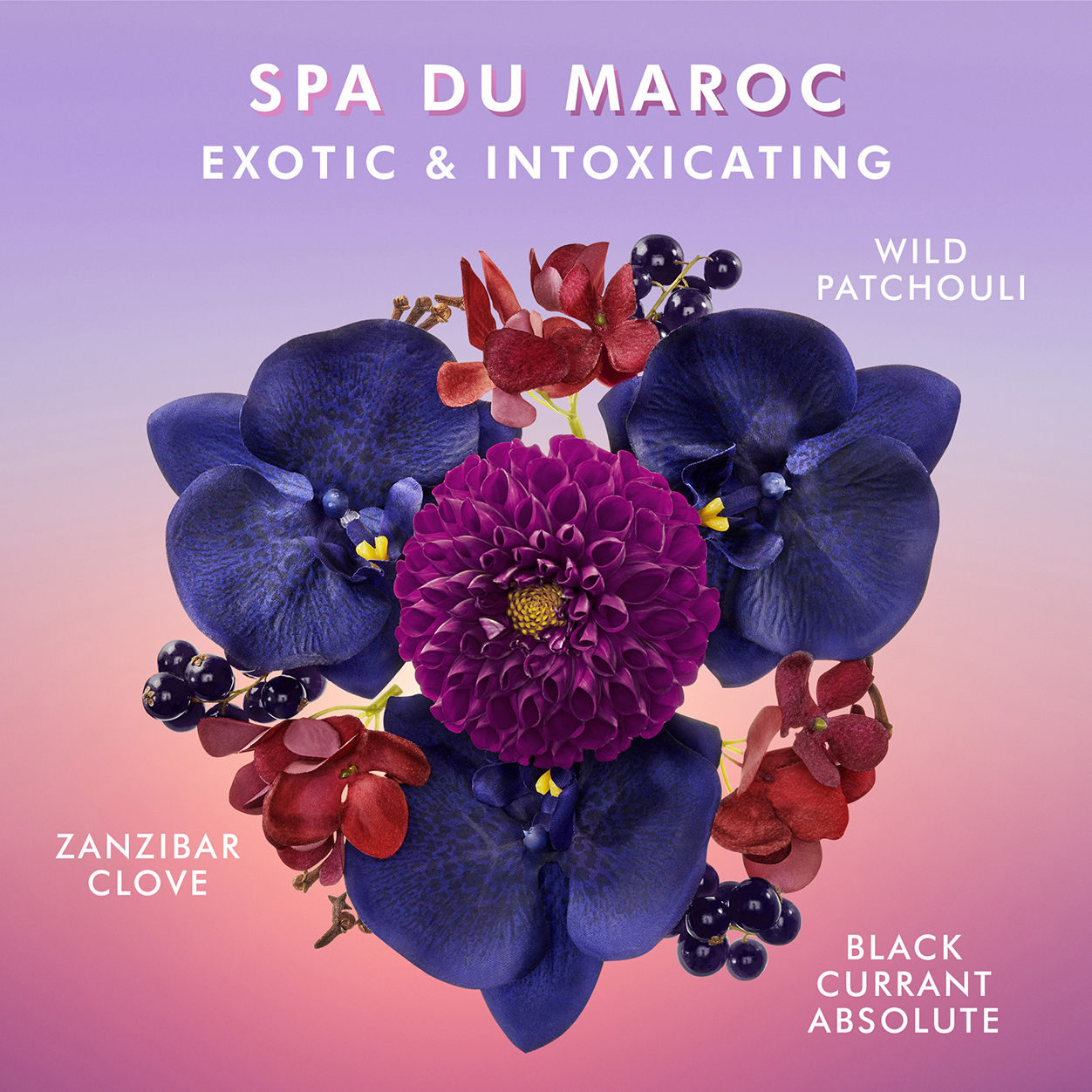 Hand Wash Spa du Maroc