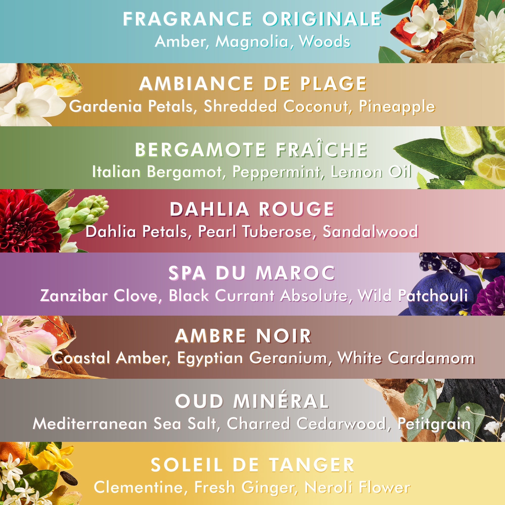 Hand Wash Soleil de Tanger