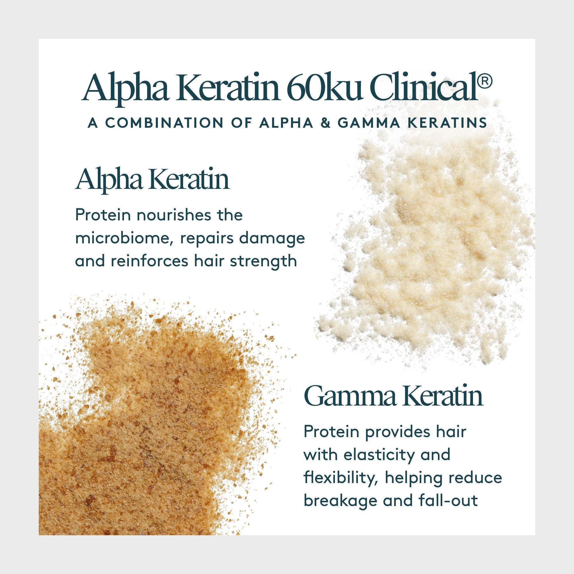 Scalp Remedy Shampoo for Scalp and Hair Health