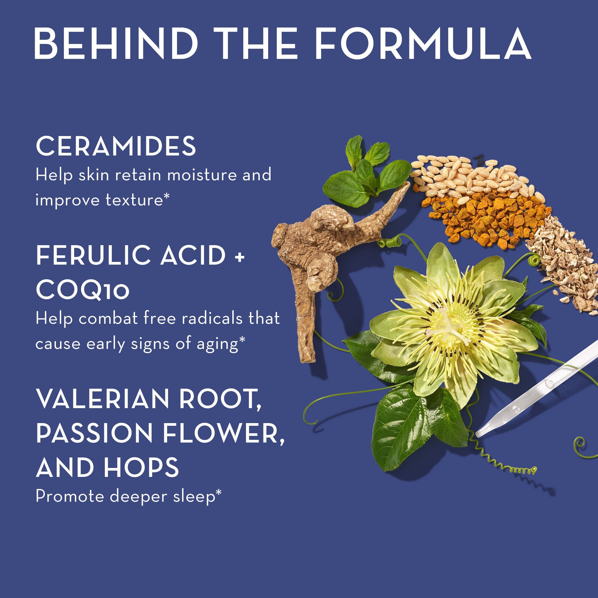 Mighty Night Overnight Renewal Supplement