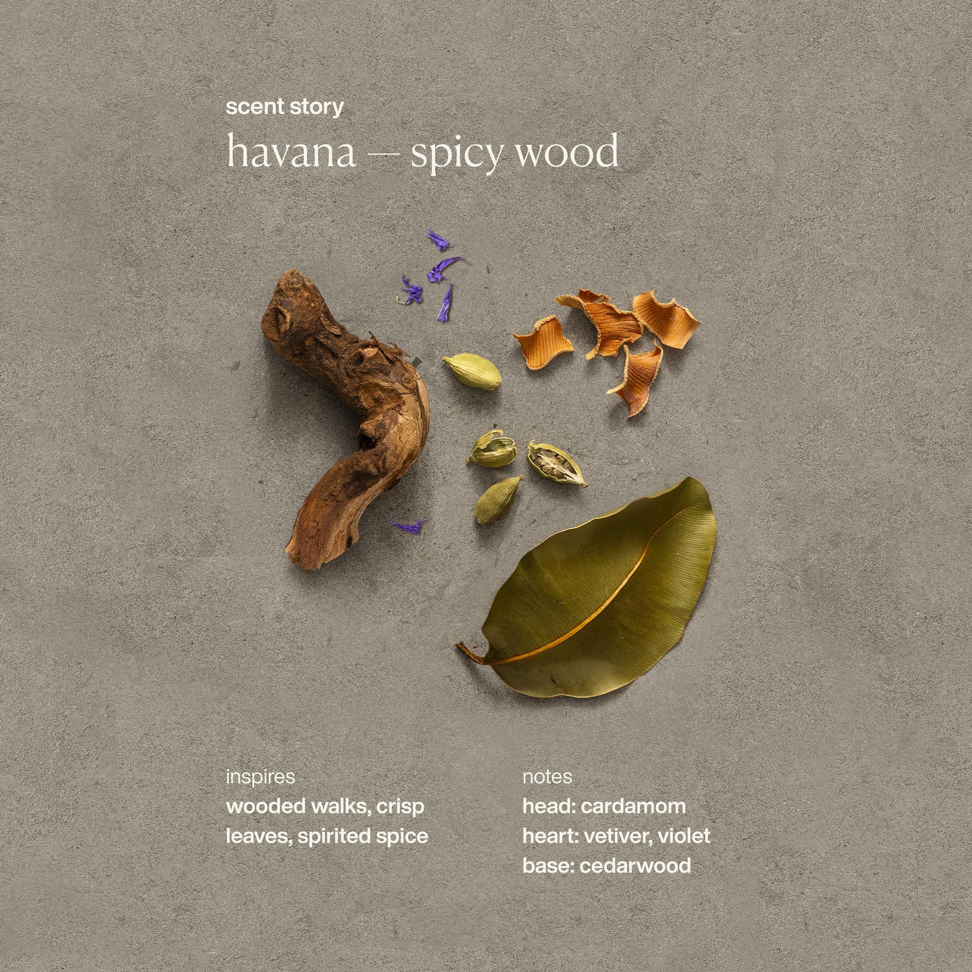 Havana Exfoliating Bar Soap