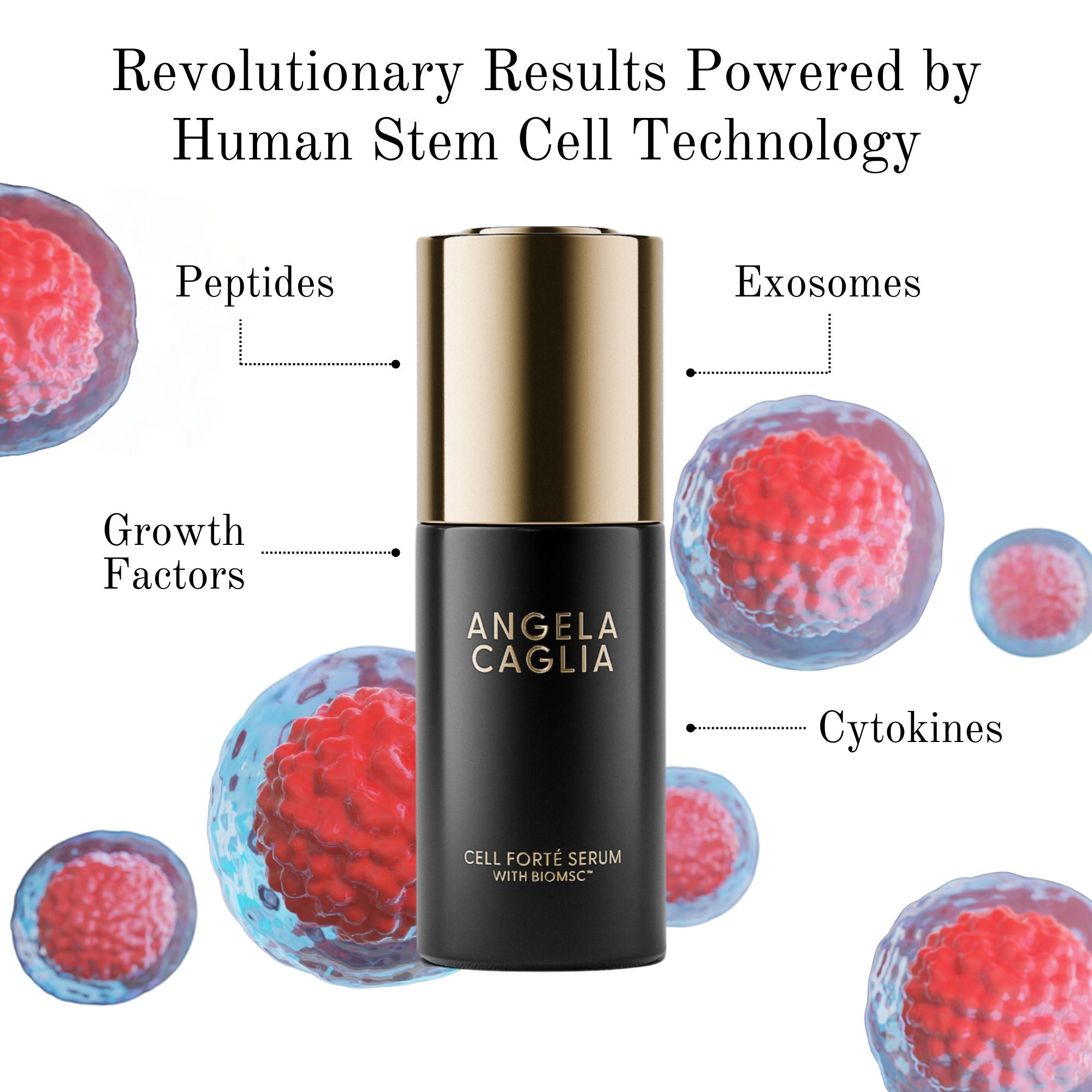 Cell Forté Serum with BIOMSC™