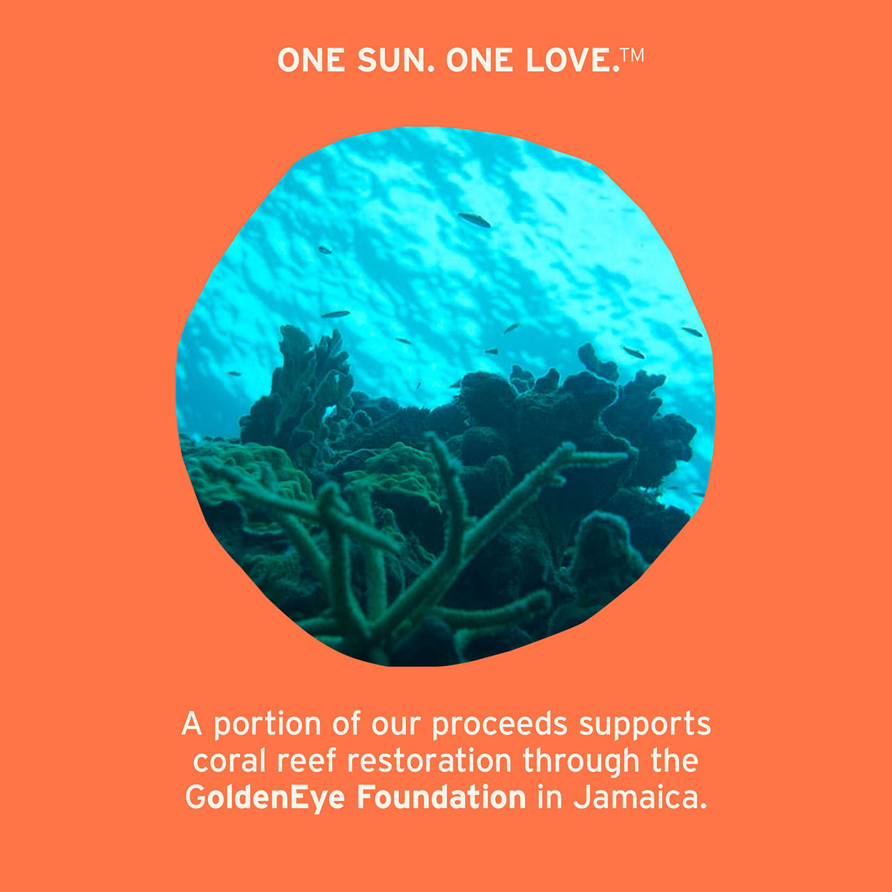 Mineral Ally Eye Glow + Illuminator SPF 30