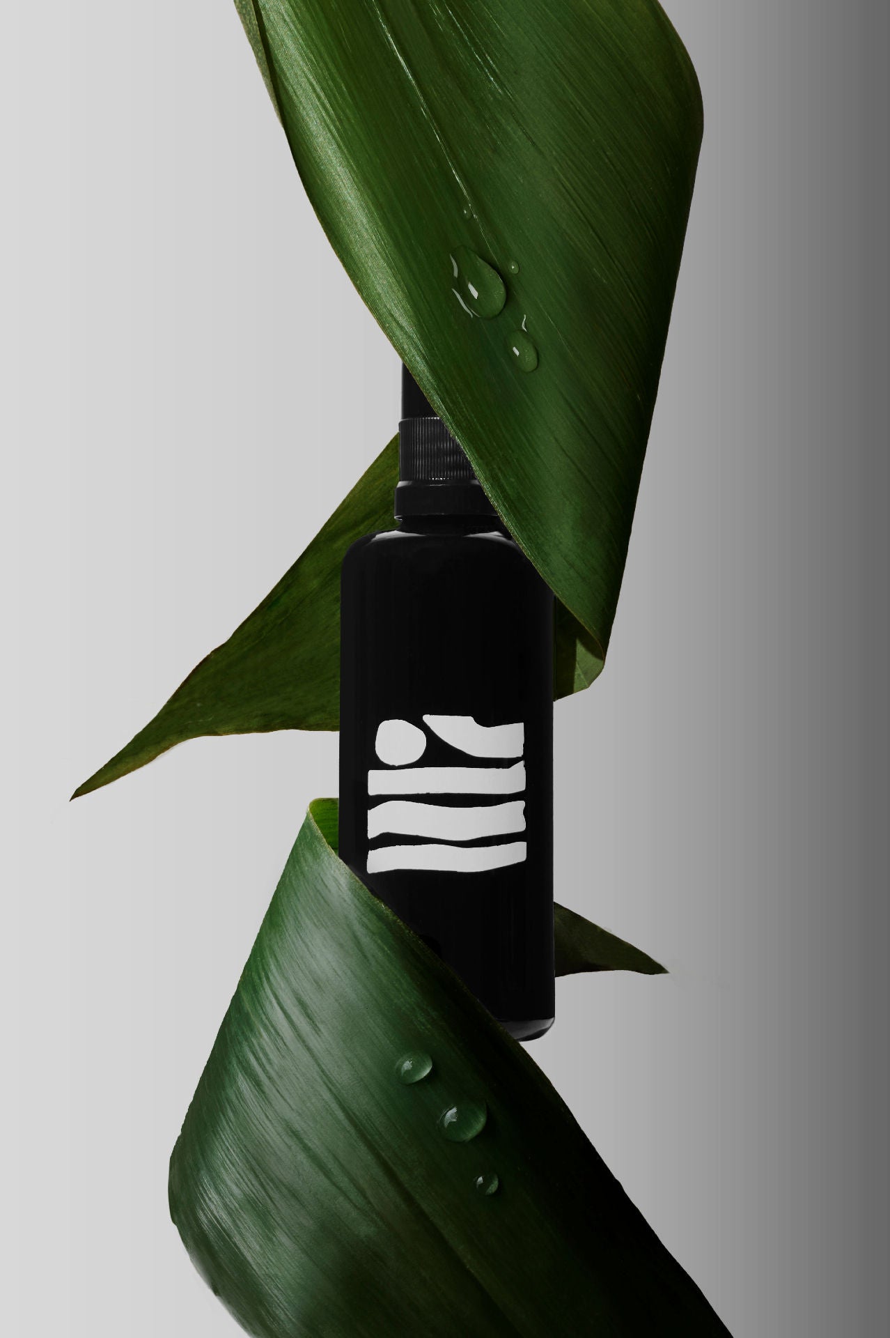 Amuse Bouche Balancing Facial Mist