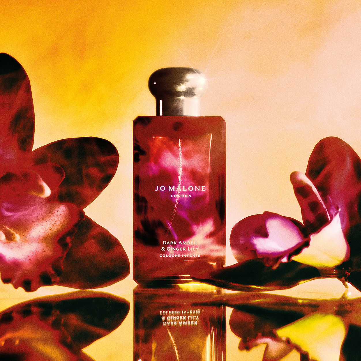 Dark Amber and Ginger Lily Cologne Intense
