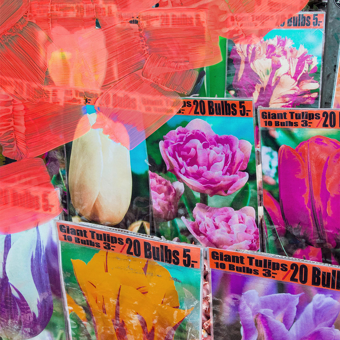 La Tulipe Eau de Parfum