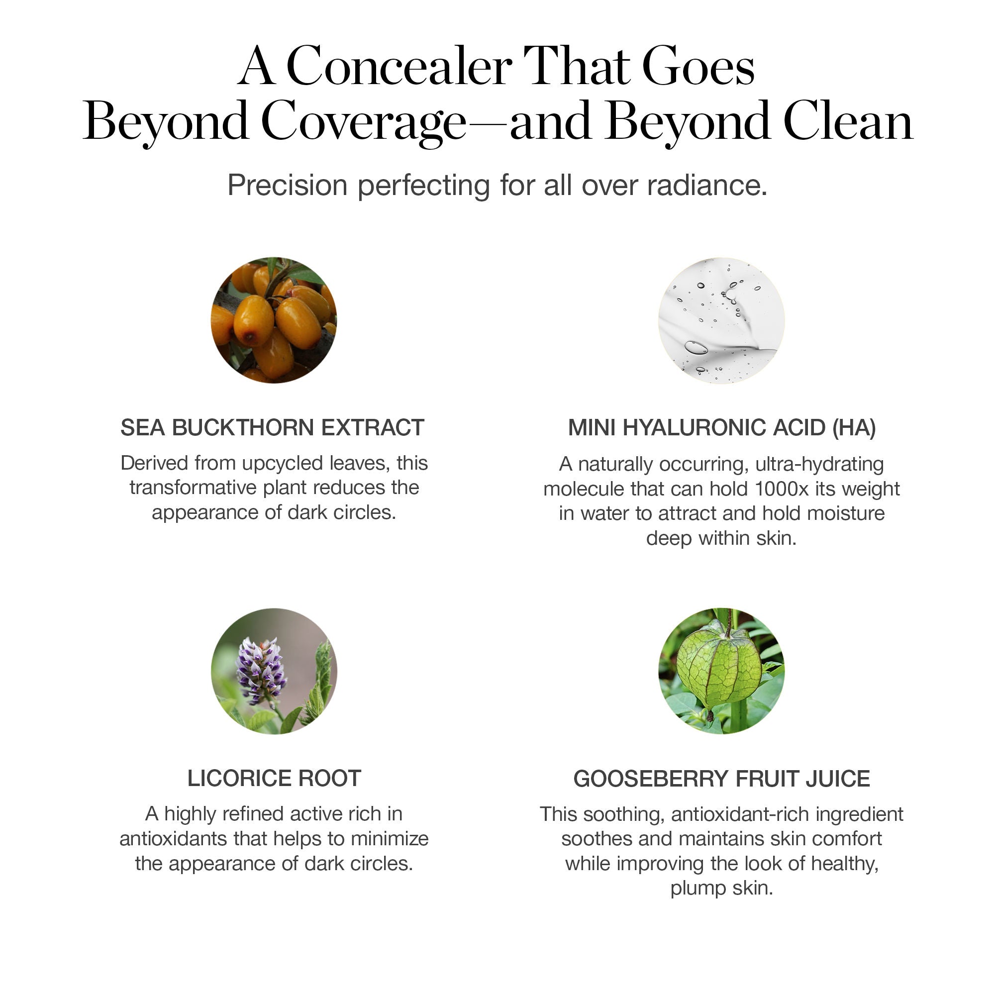 Complexion Perfecting Concealer