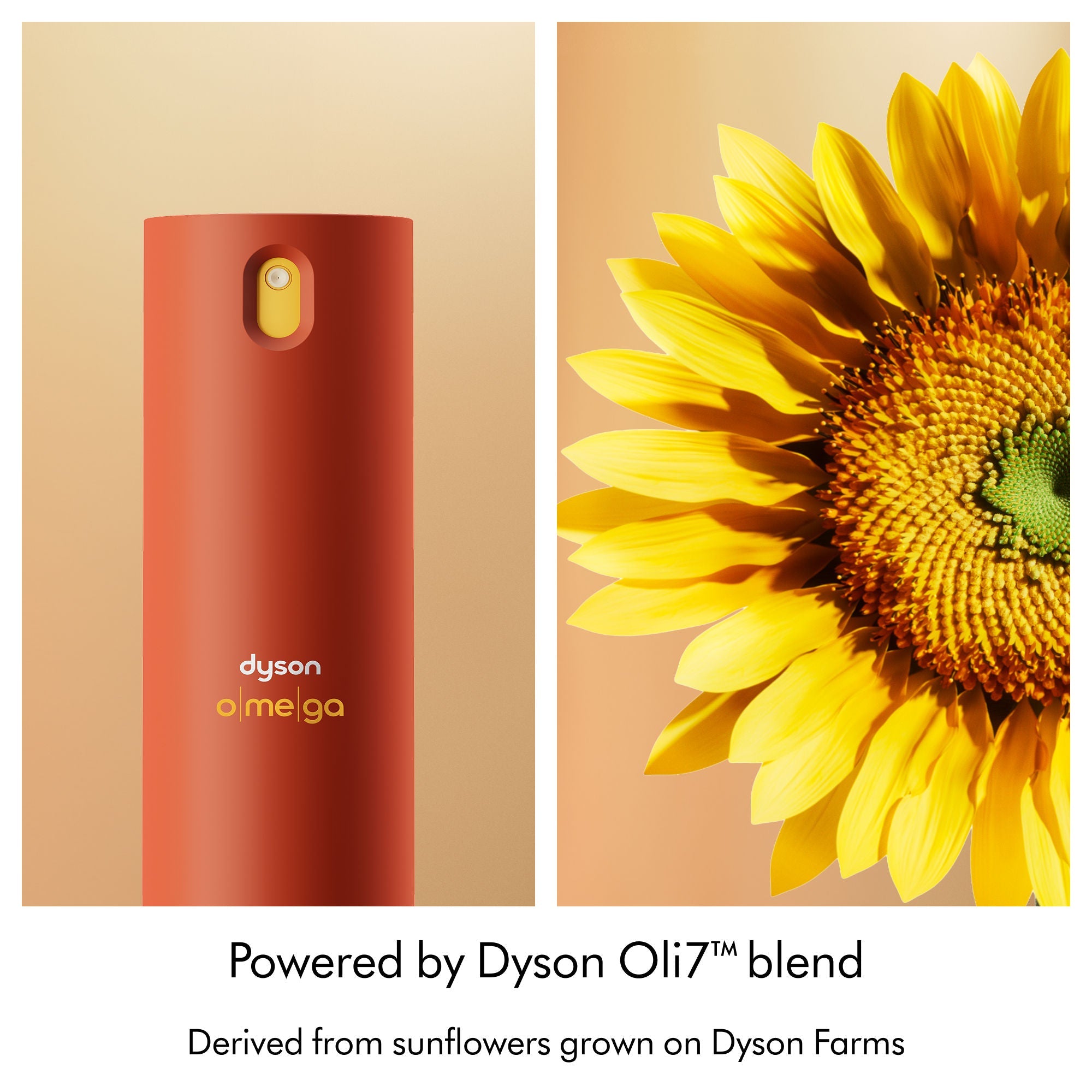 Omega Leave-in Conditioning Spray