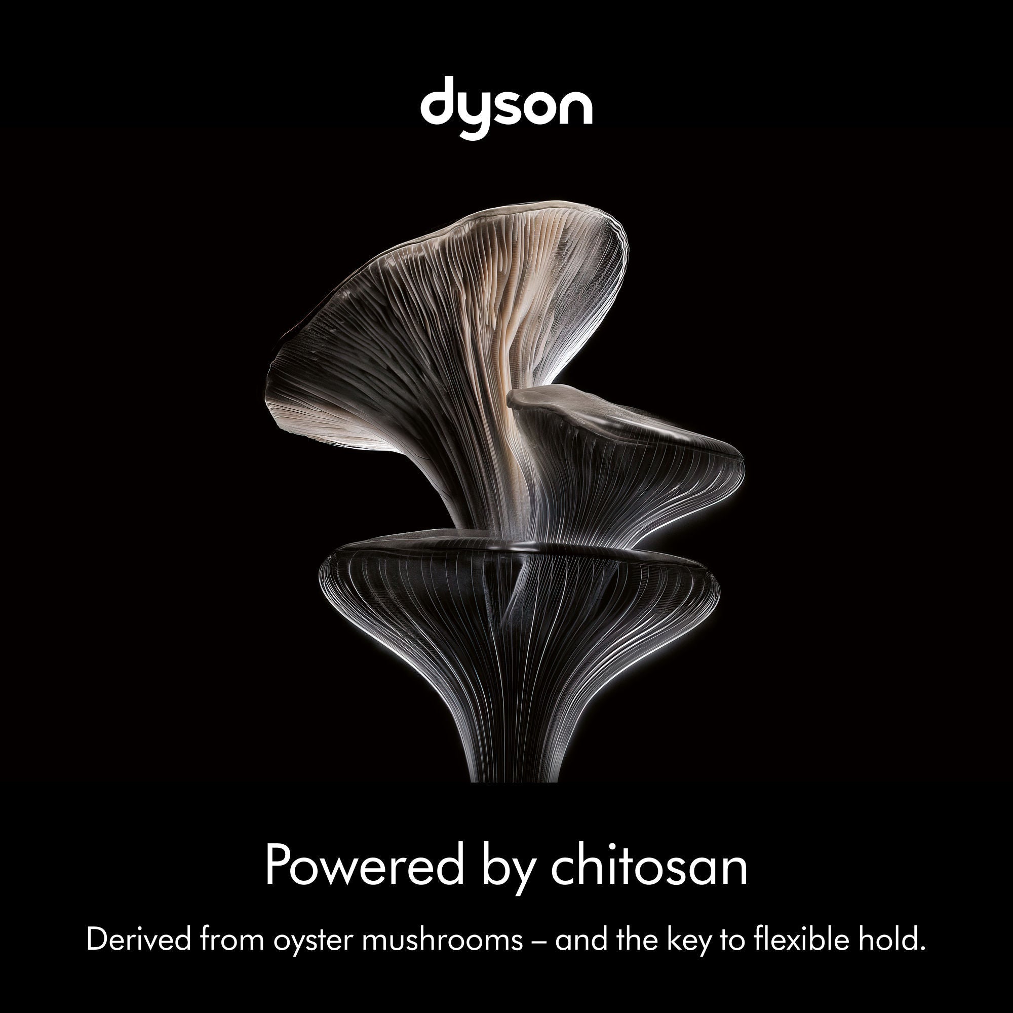 Chitosan Multi-use Styling Spray