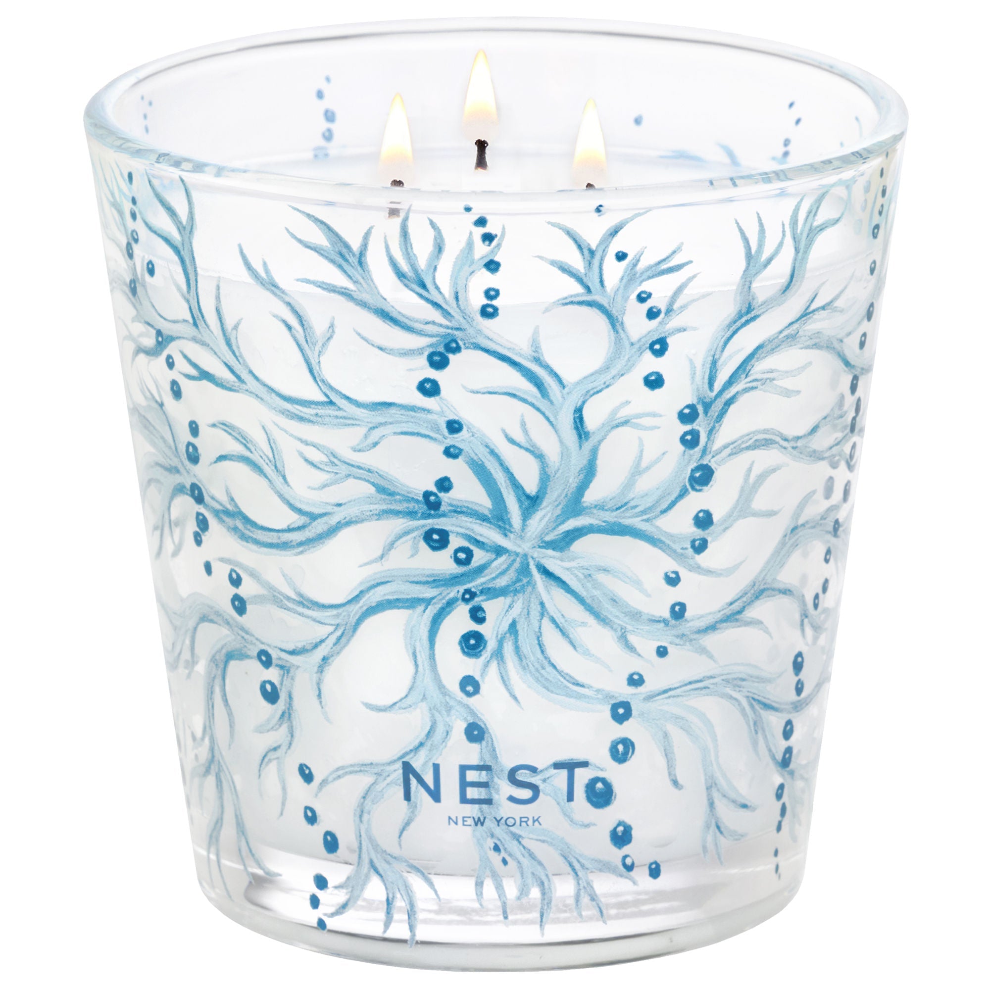 Ocean Mist & Sea Salt Decorative Candle