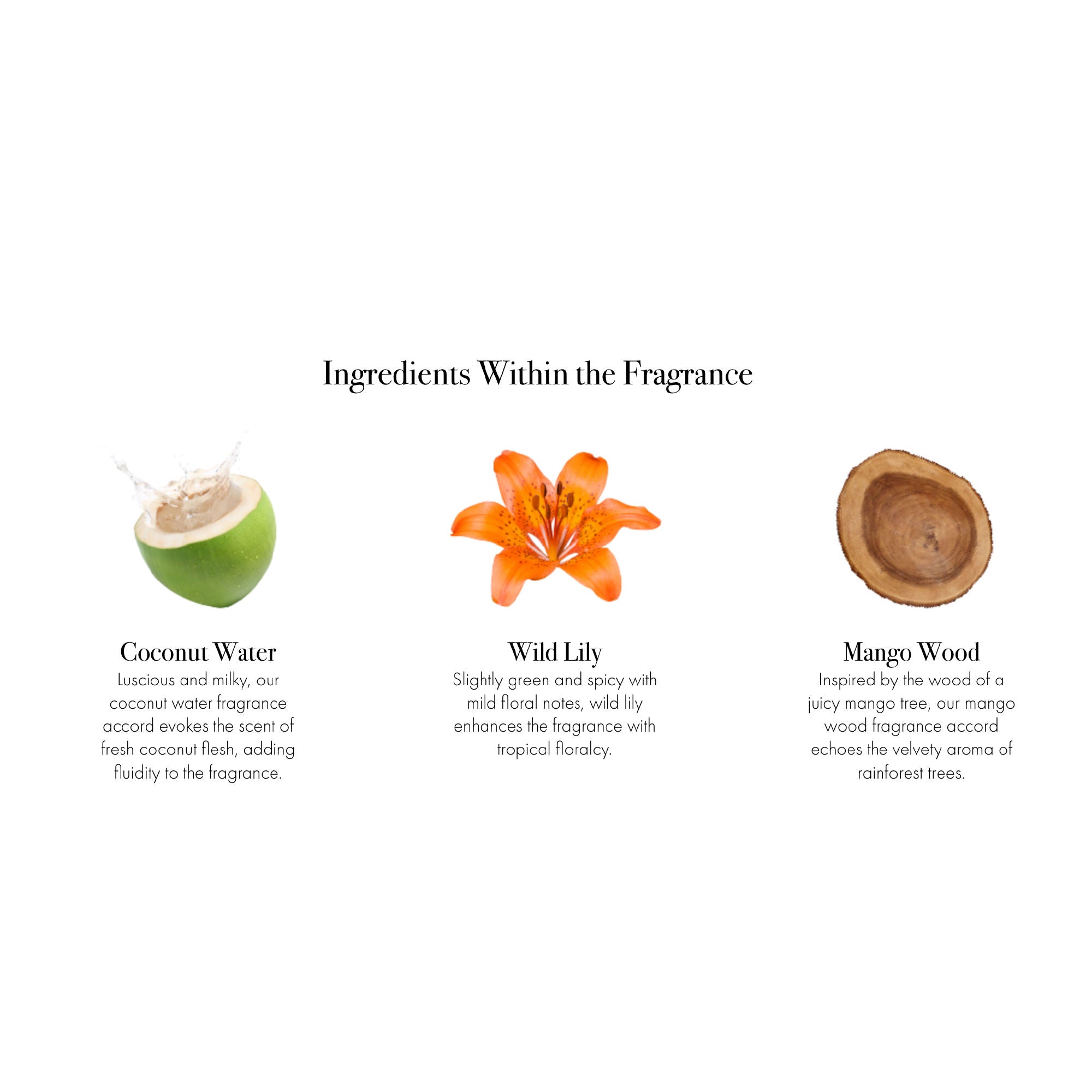 Jungle Bloom Candle