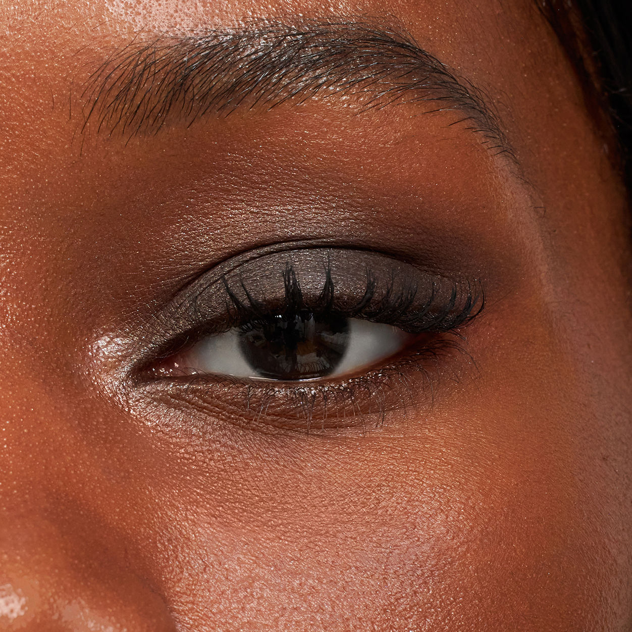 Pretty Shady Pressed Pigment