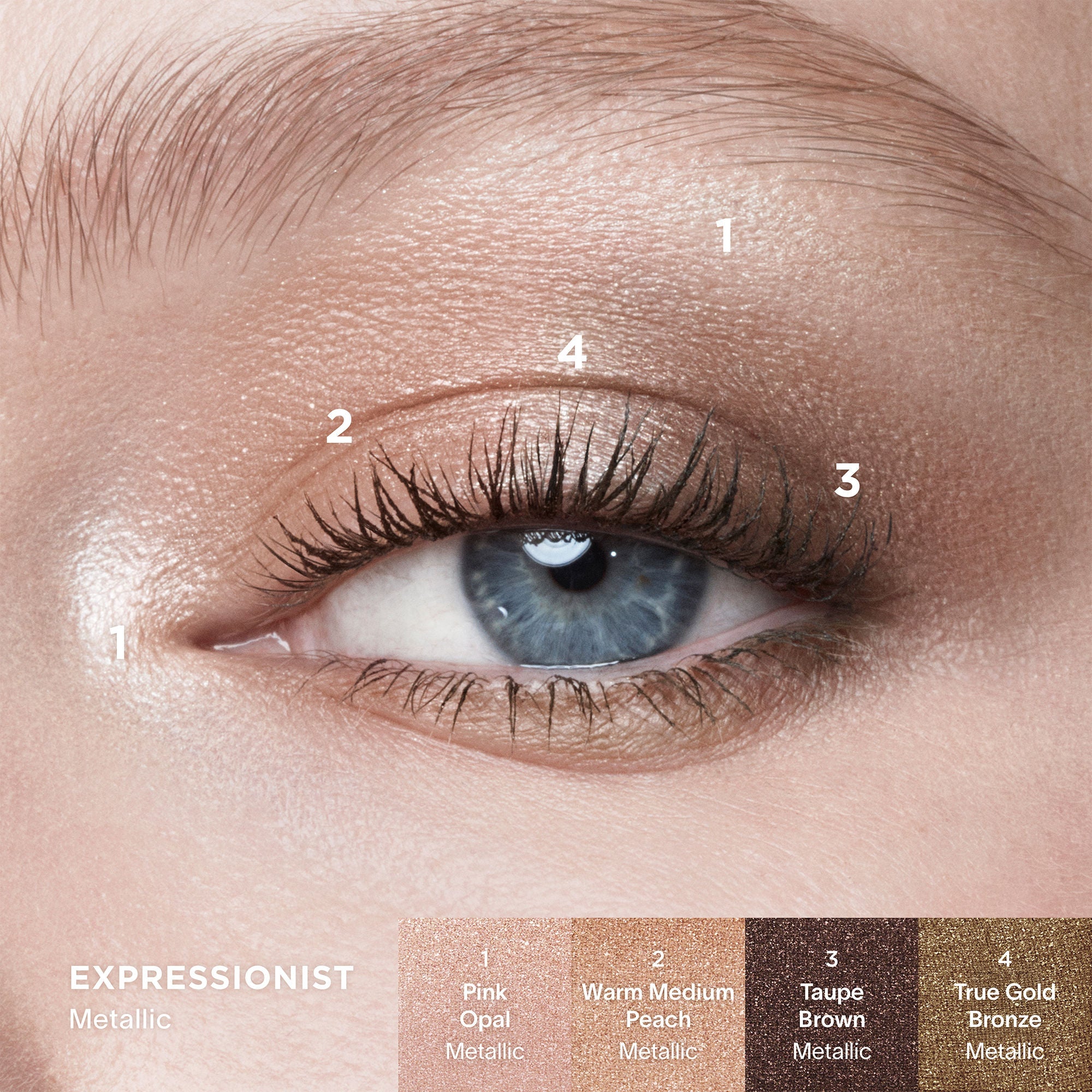 Curator Eyeshadow Palette