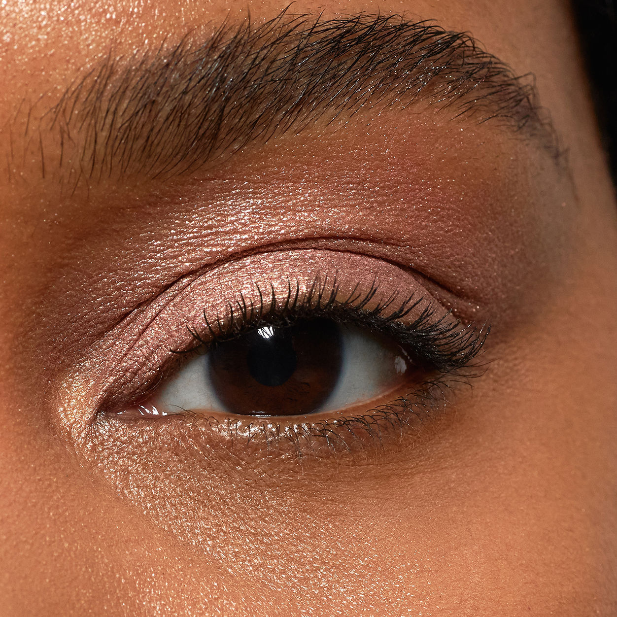 Pretty Shady Pressed Pigment