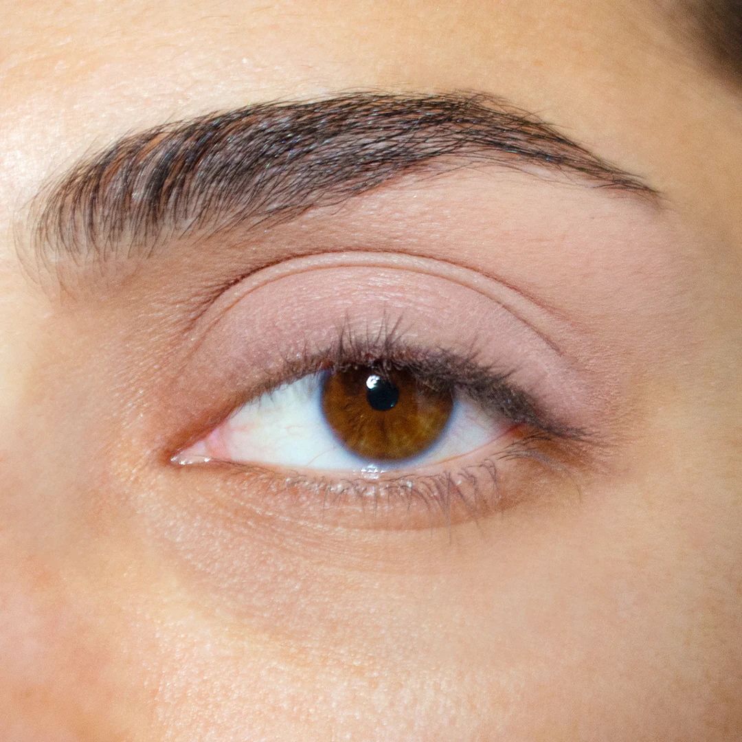 Pretty Shady Pressed Pigment