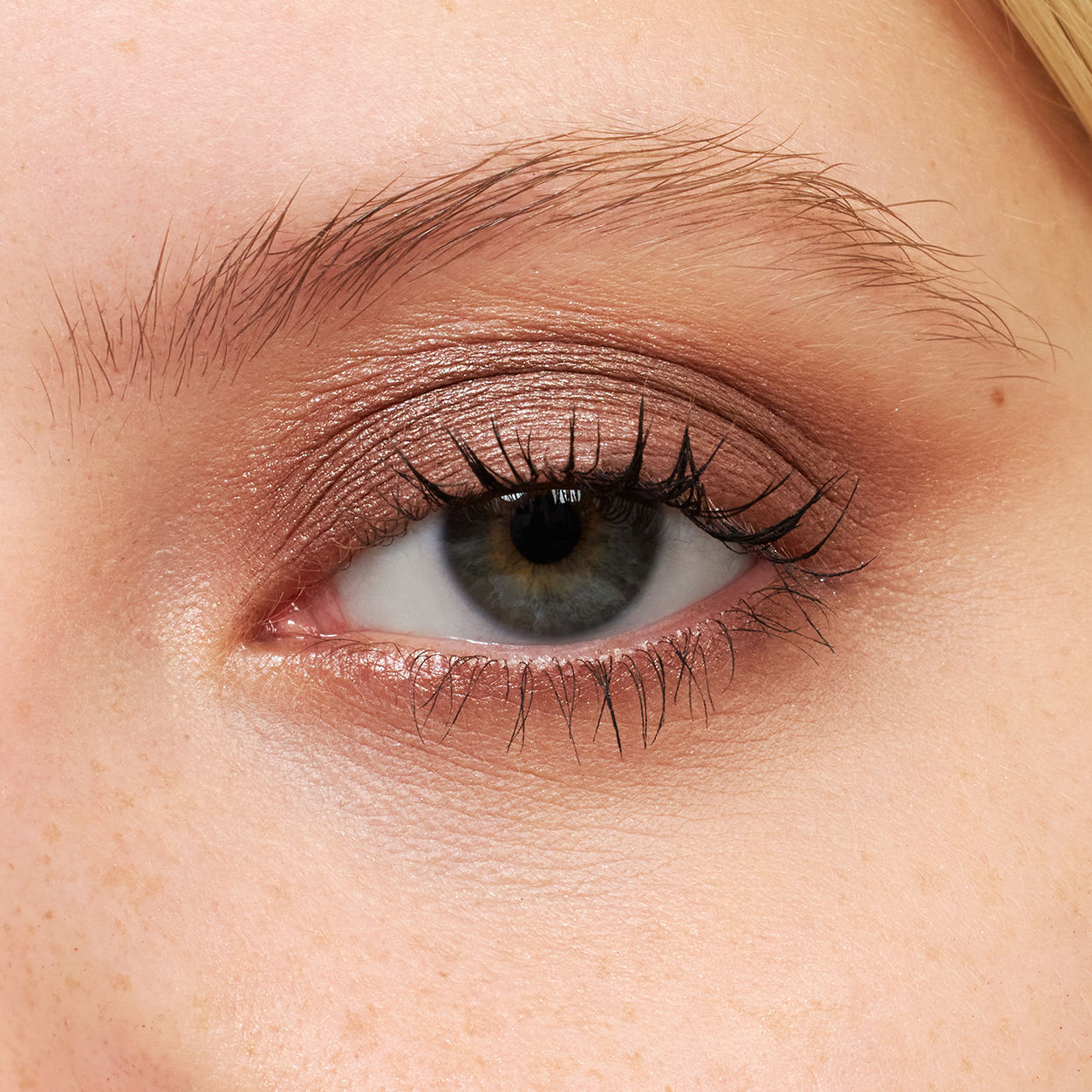 Pretty Shady Pressed Pigment