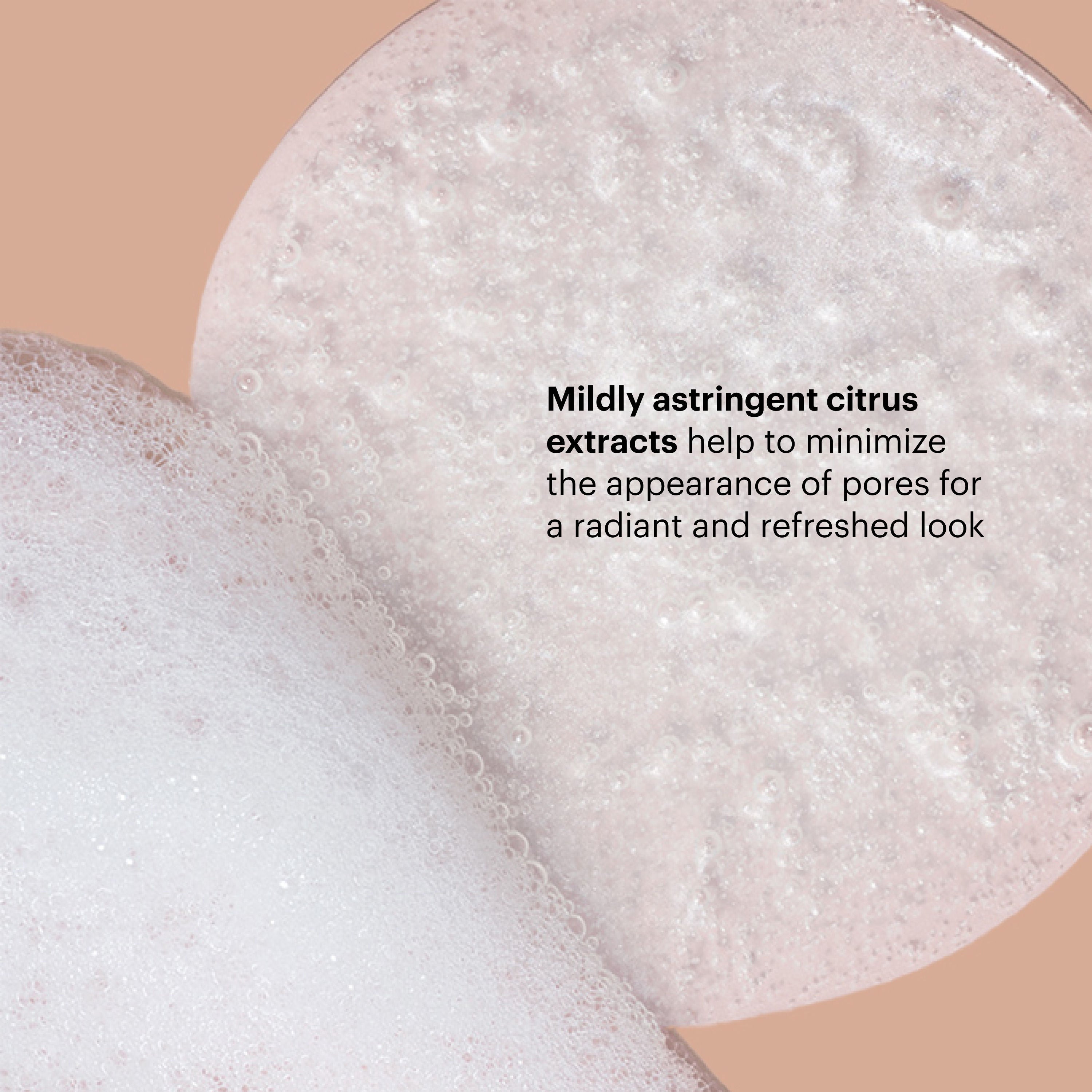 AHA/BHA Exfoliating Cleanser