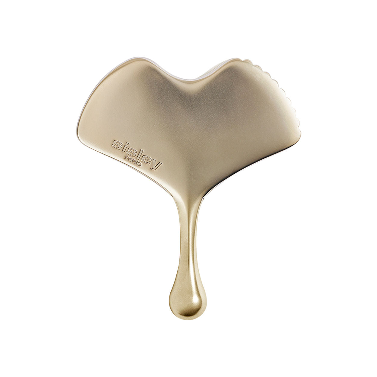 Ginkgo Gua Sha Massage Tool