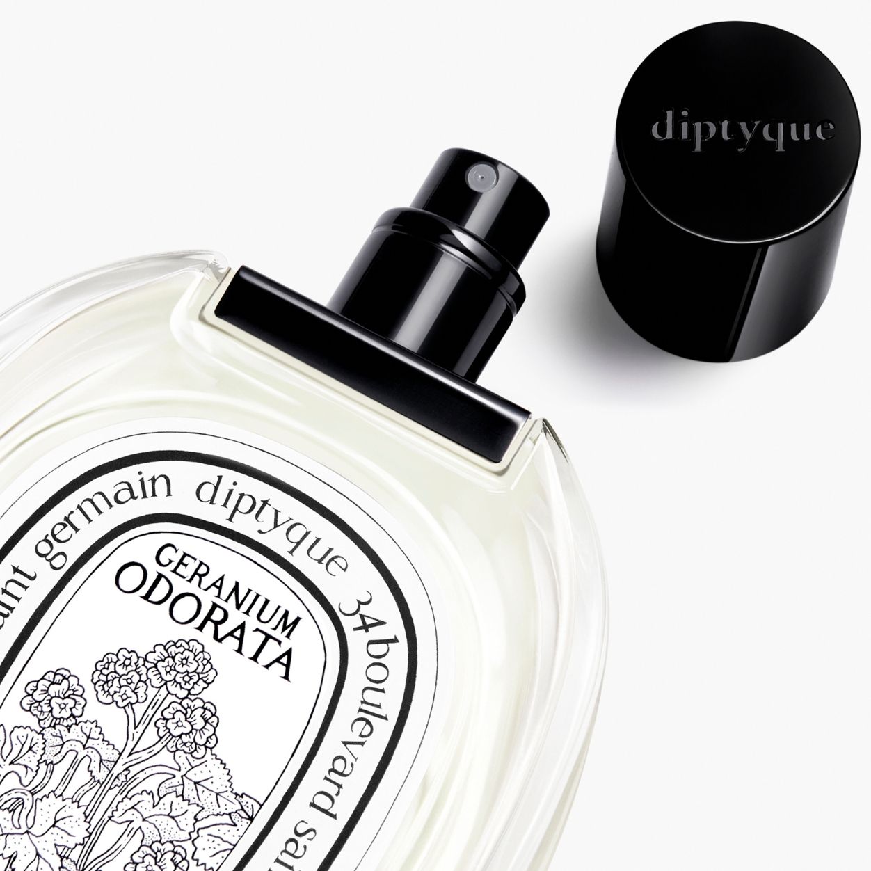Geranium Odorata Eau De Toilette