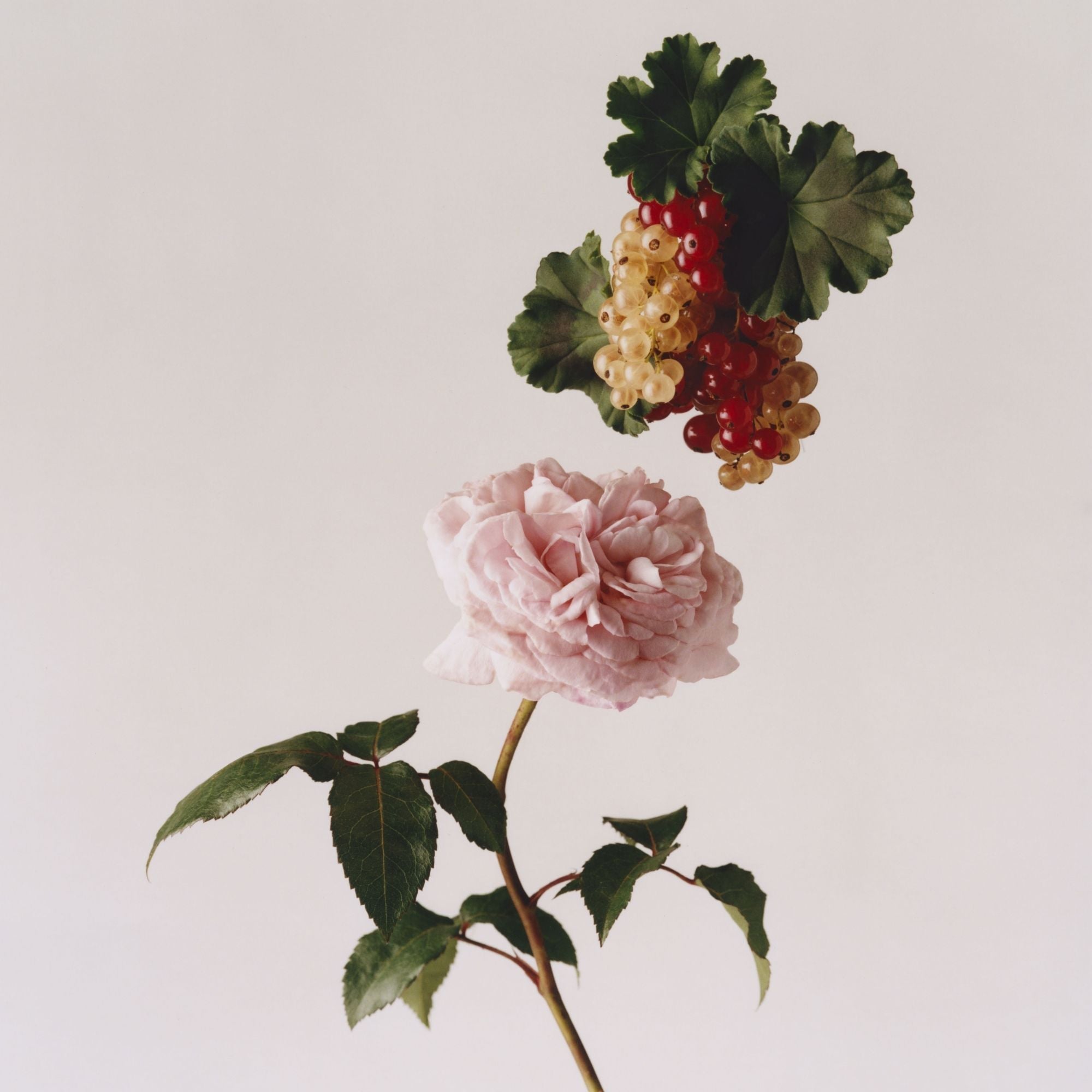 Classic Discovery Pack Eau De Parfum