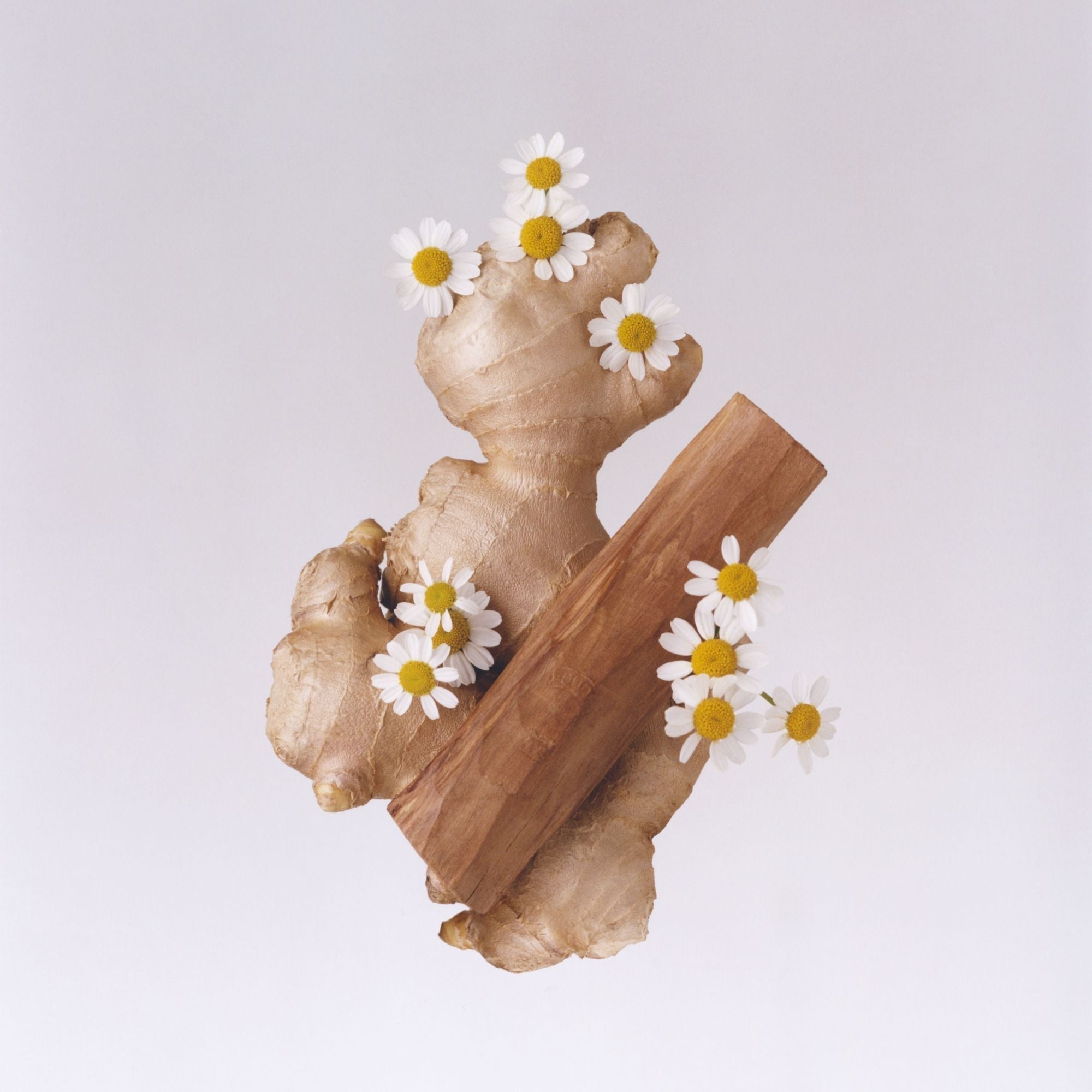 Classic Discovery Pack Eau De Parfum