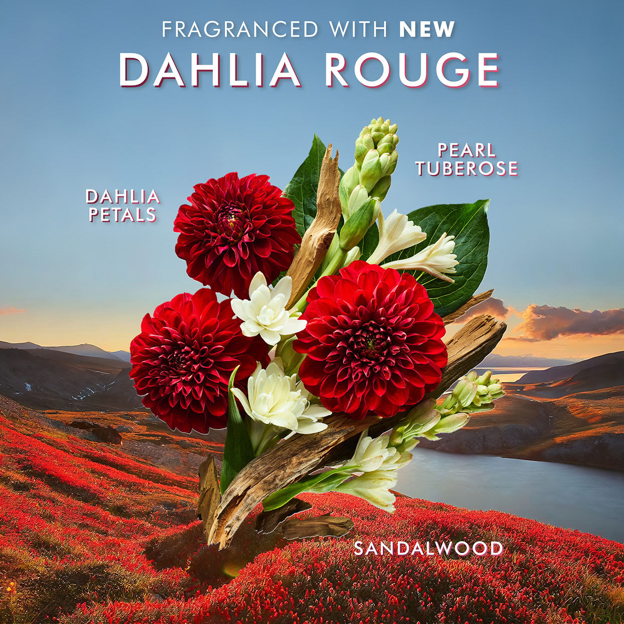 Dahlia Rouge Hand Wash
