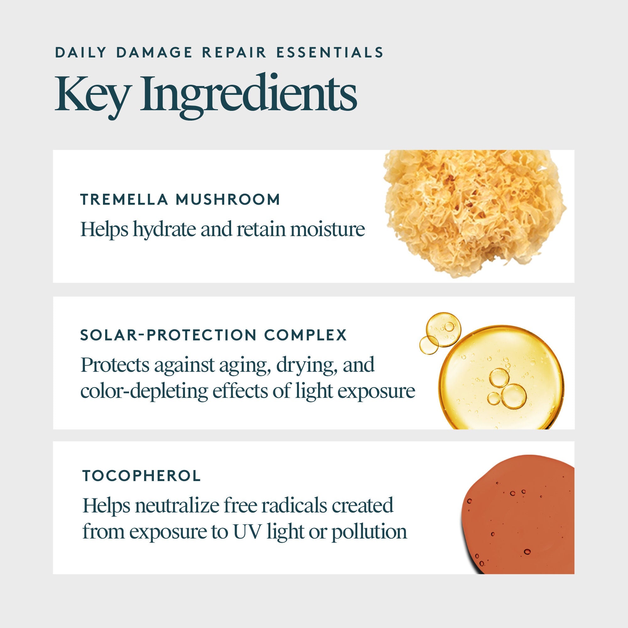 Daily Damage Repair Essentials (Limited Edition)