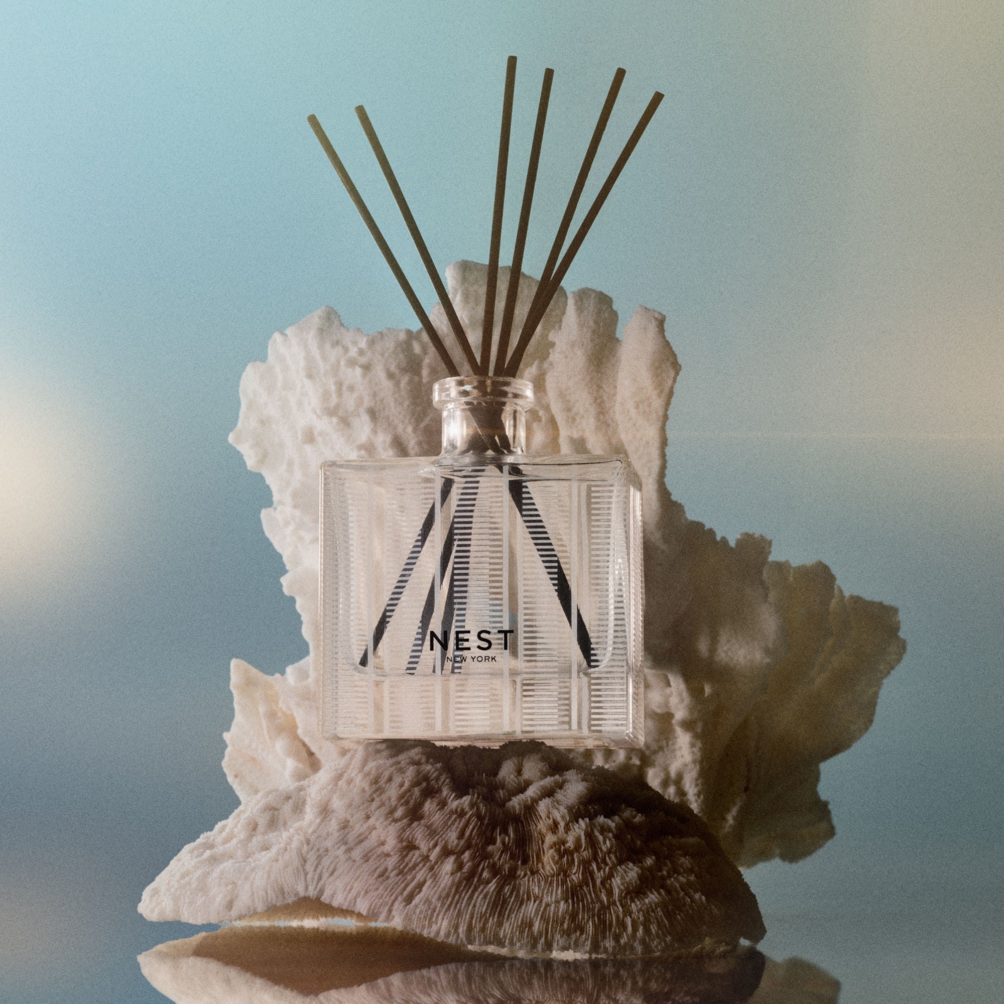 Ocean Mist & Sea Salt Reed Diffuser
