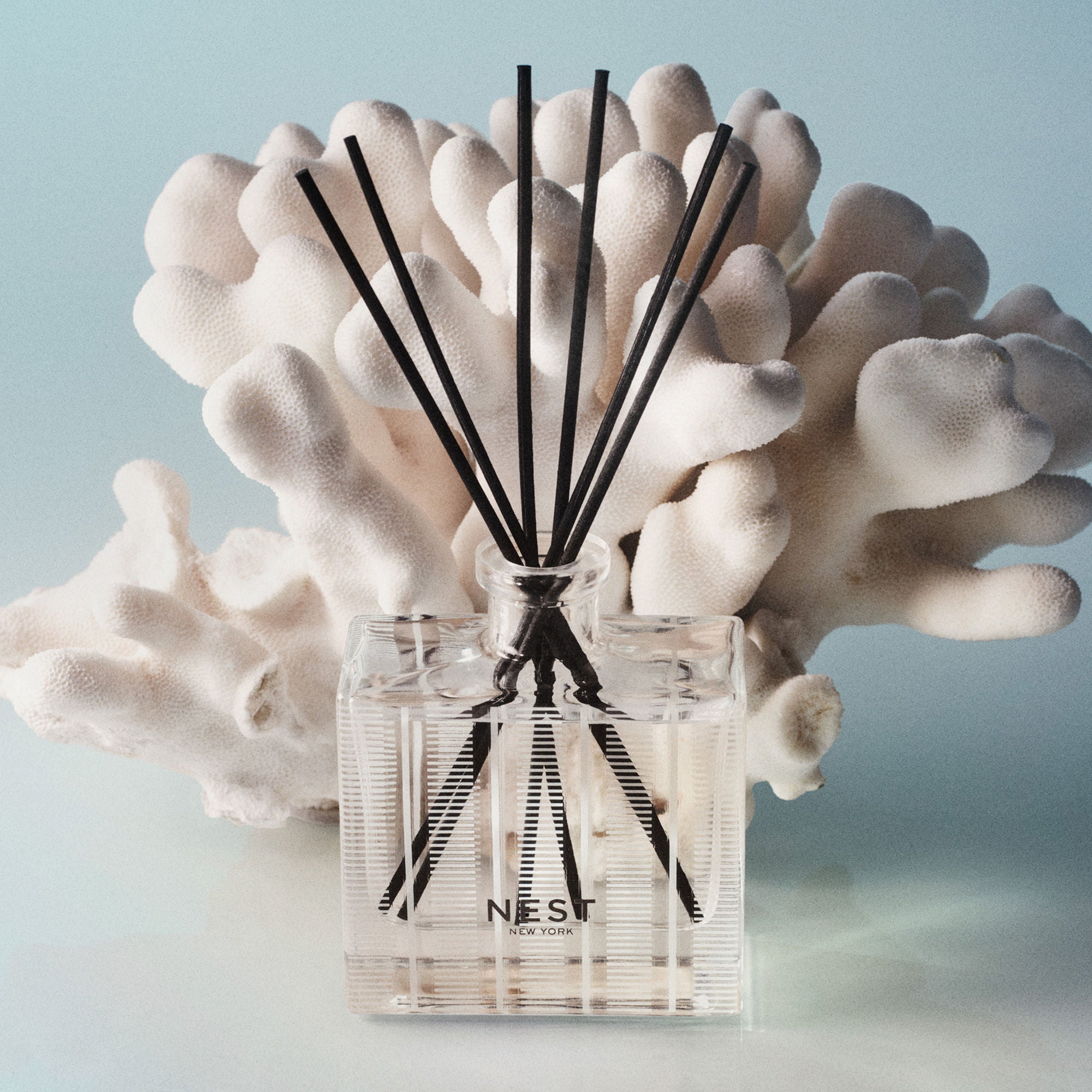 Ocean Mist & Sea Salt Reed Diffuser