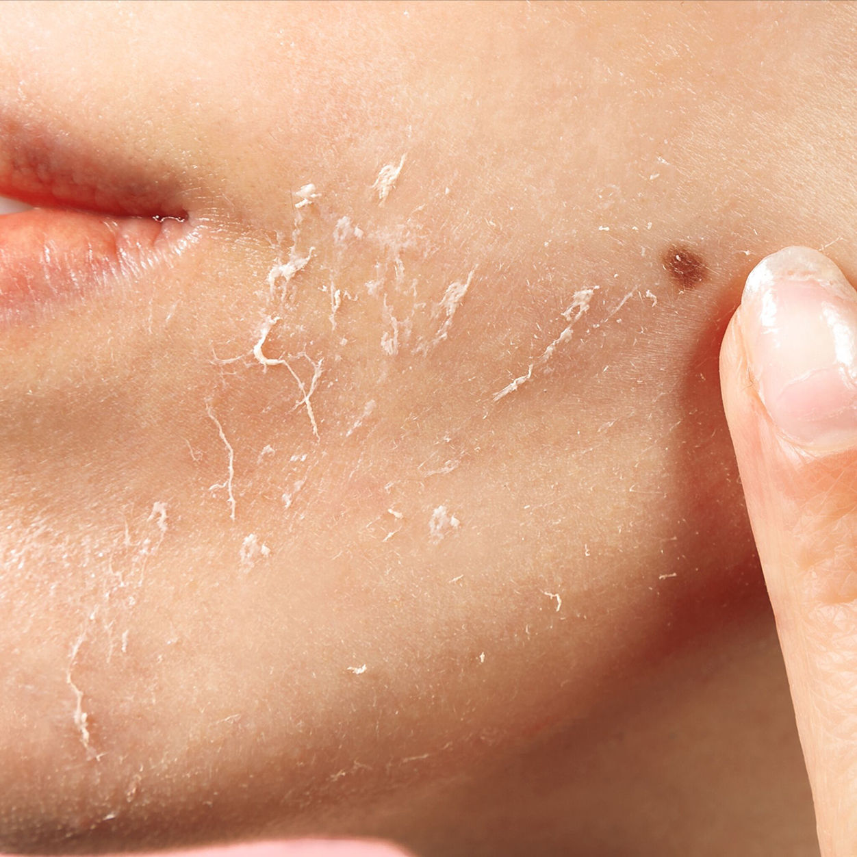 Bioactive Rose  Gommage