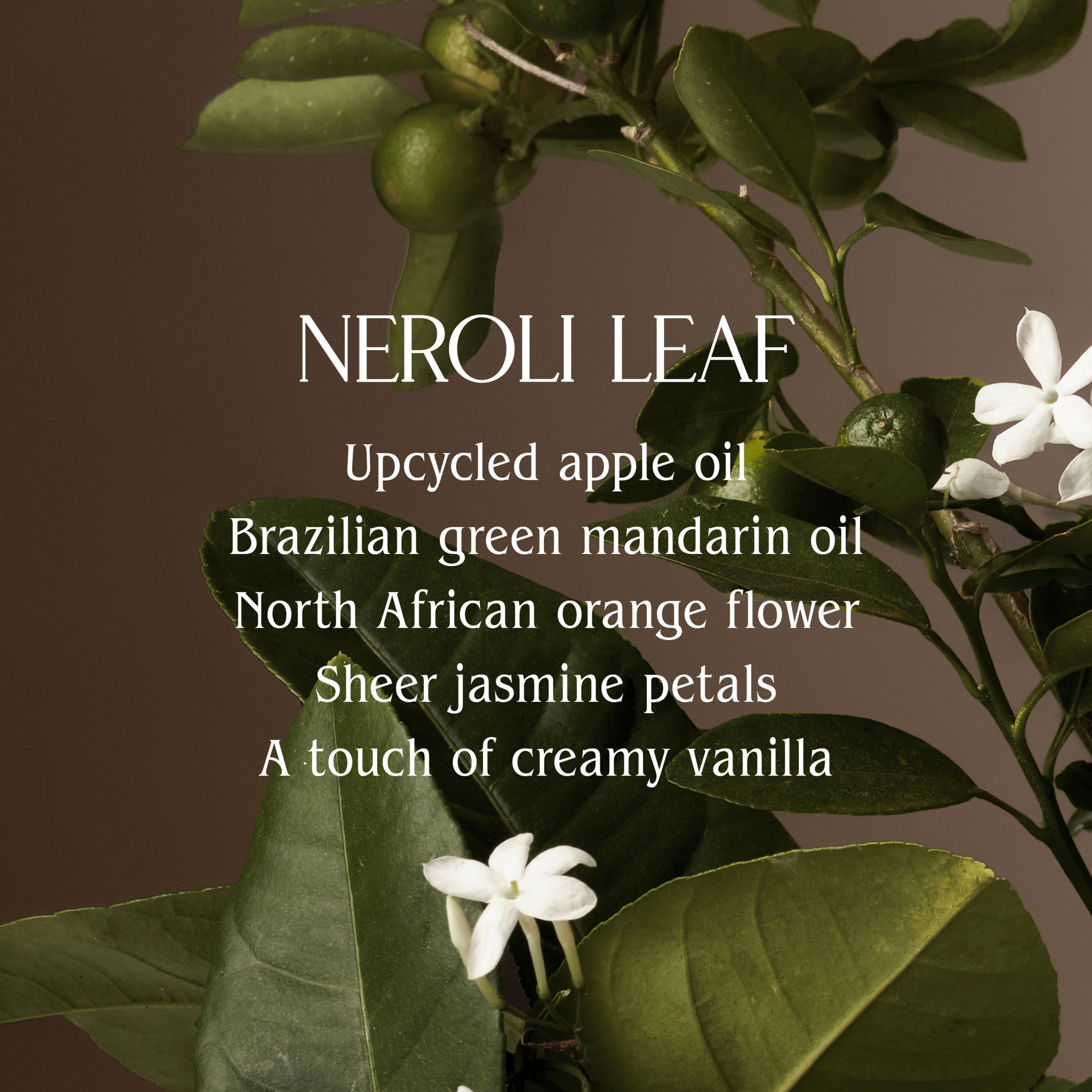 Neroli Leaf Surface Cleaner