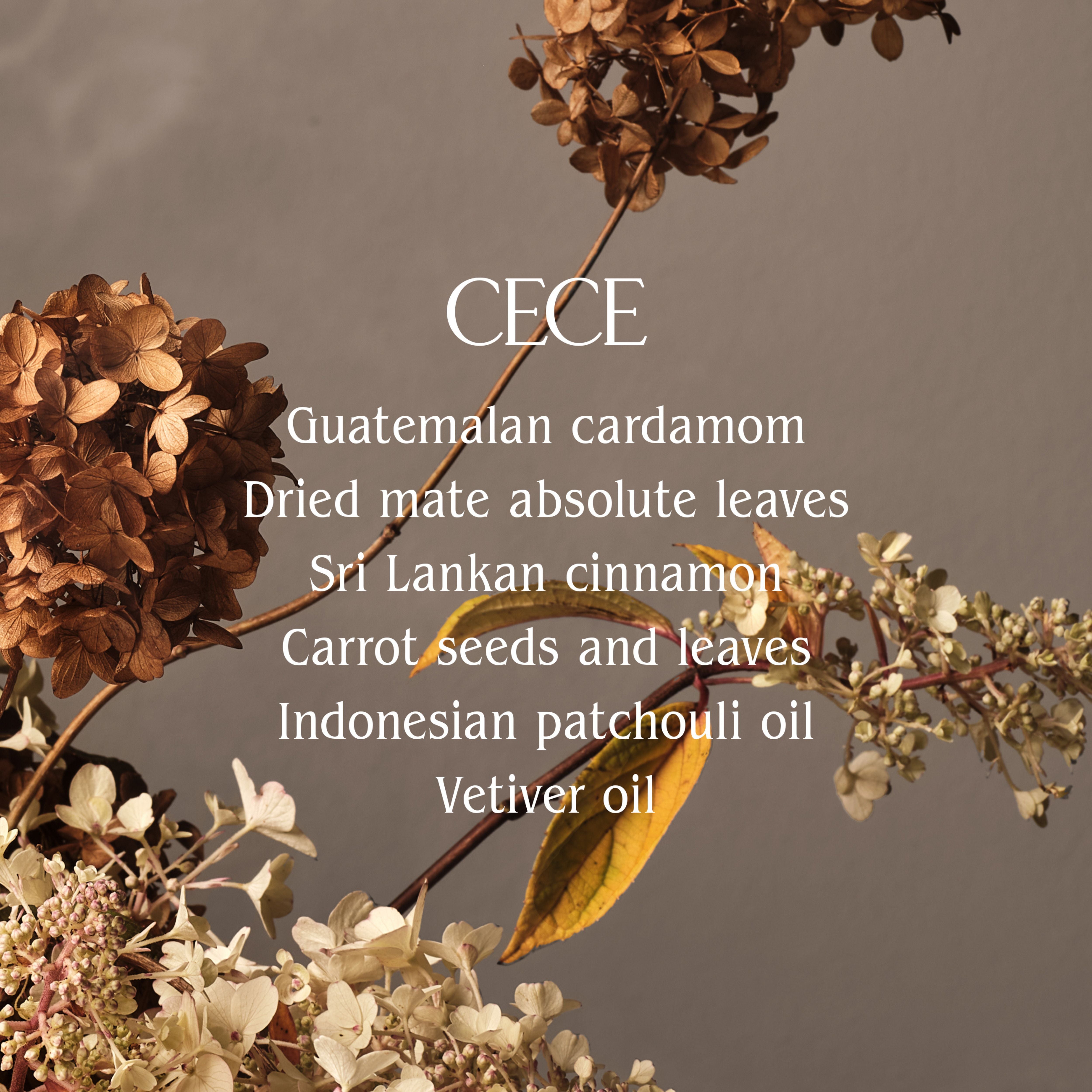 Cece Surface Cleaner