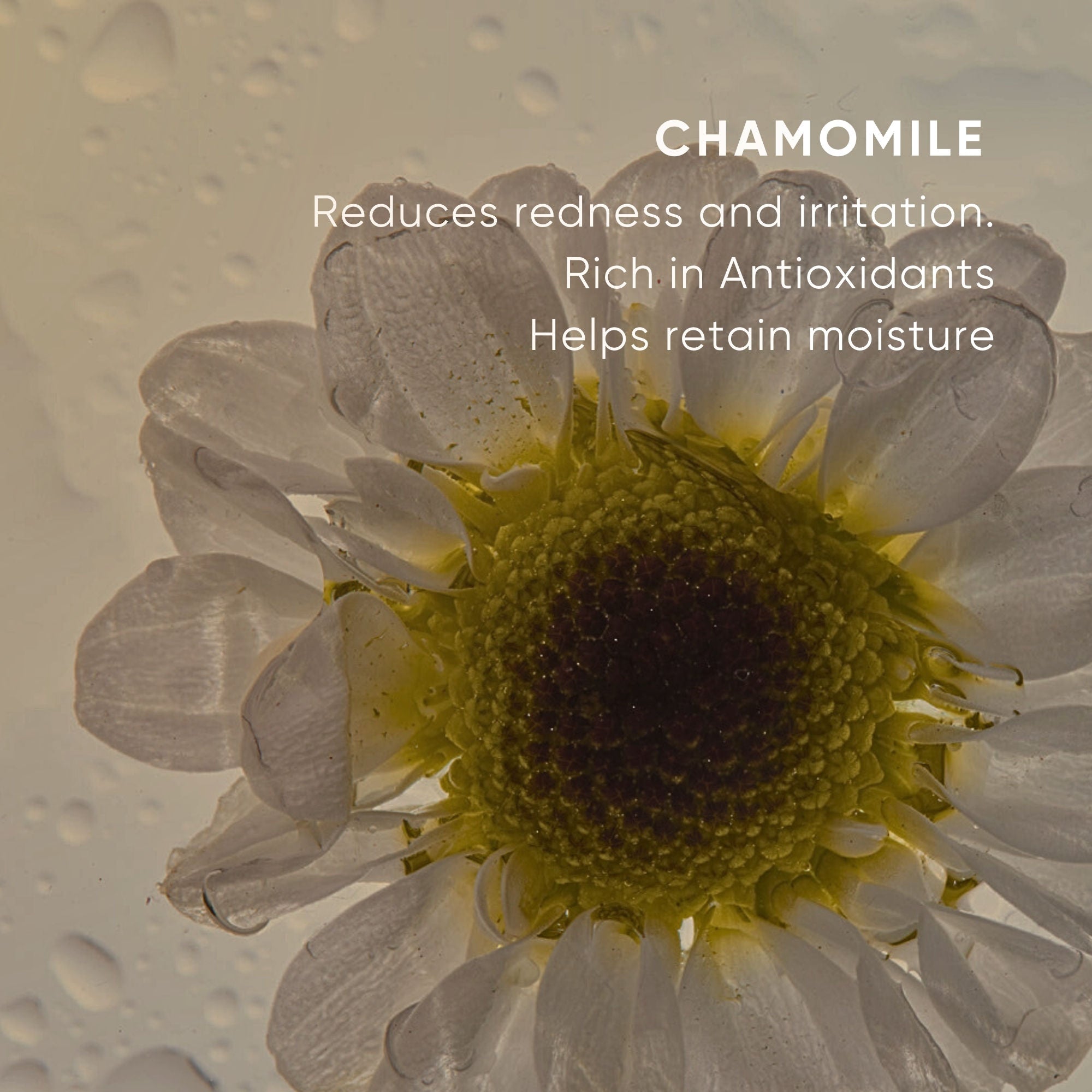 Replenishing Essence