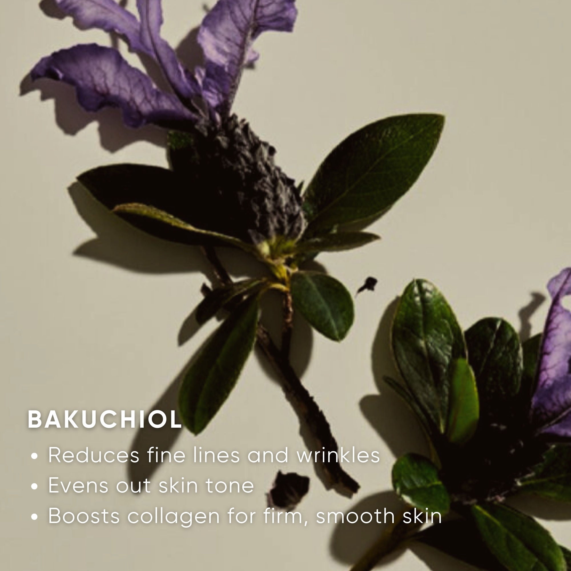 Revitalizing Eye Cream