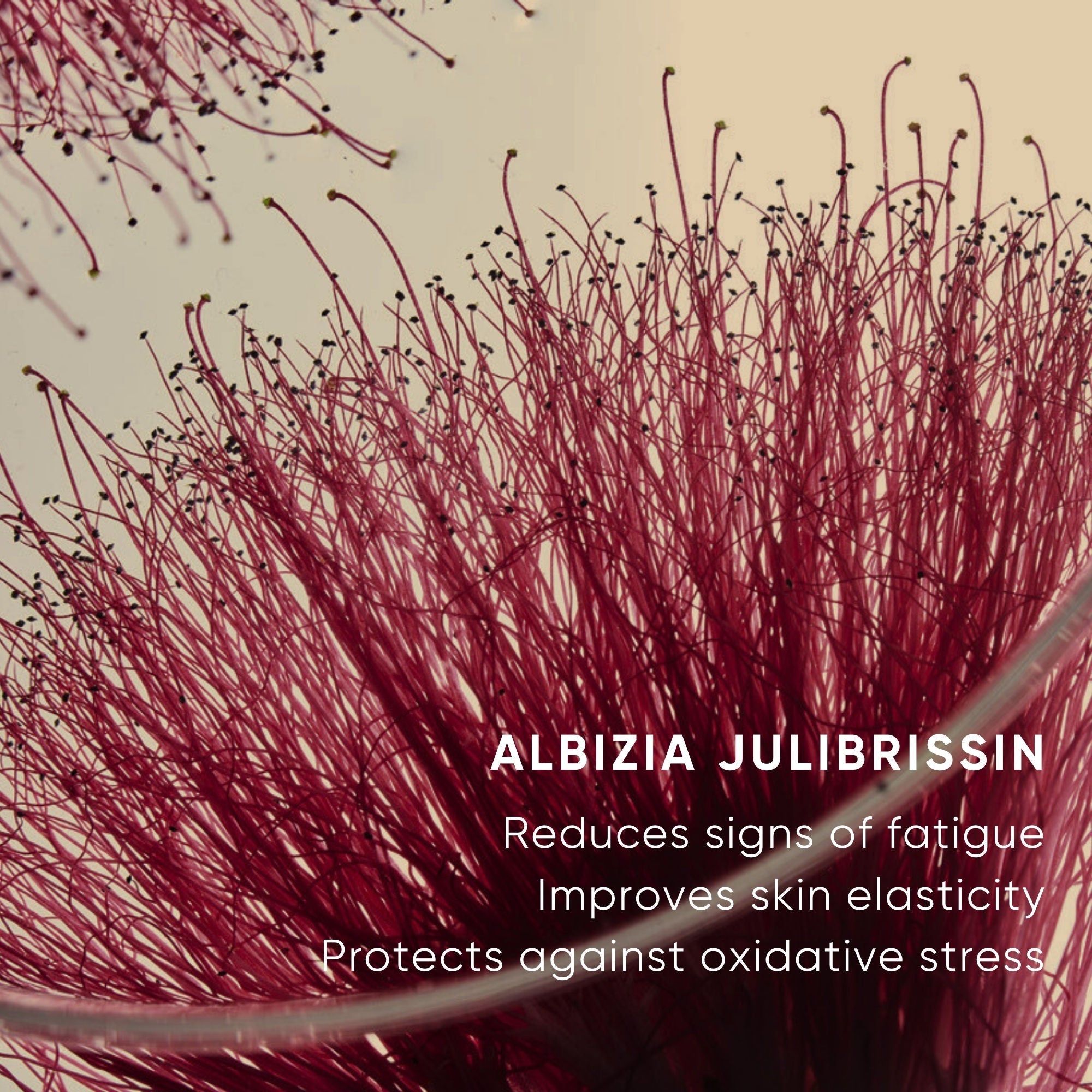 Revitalizing Eye Cream