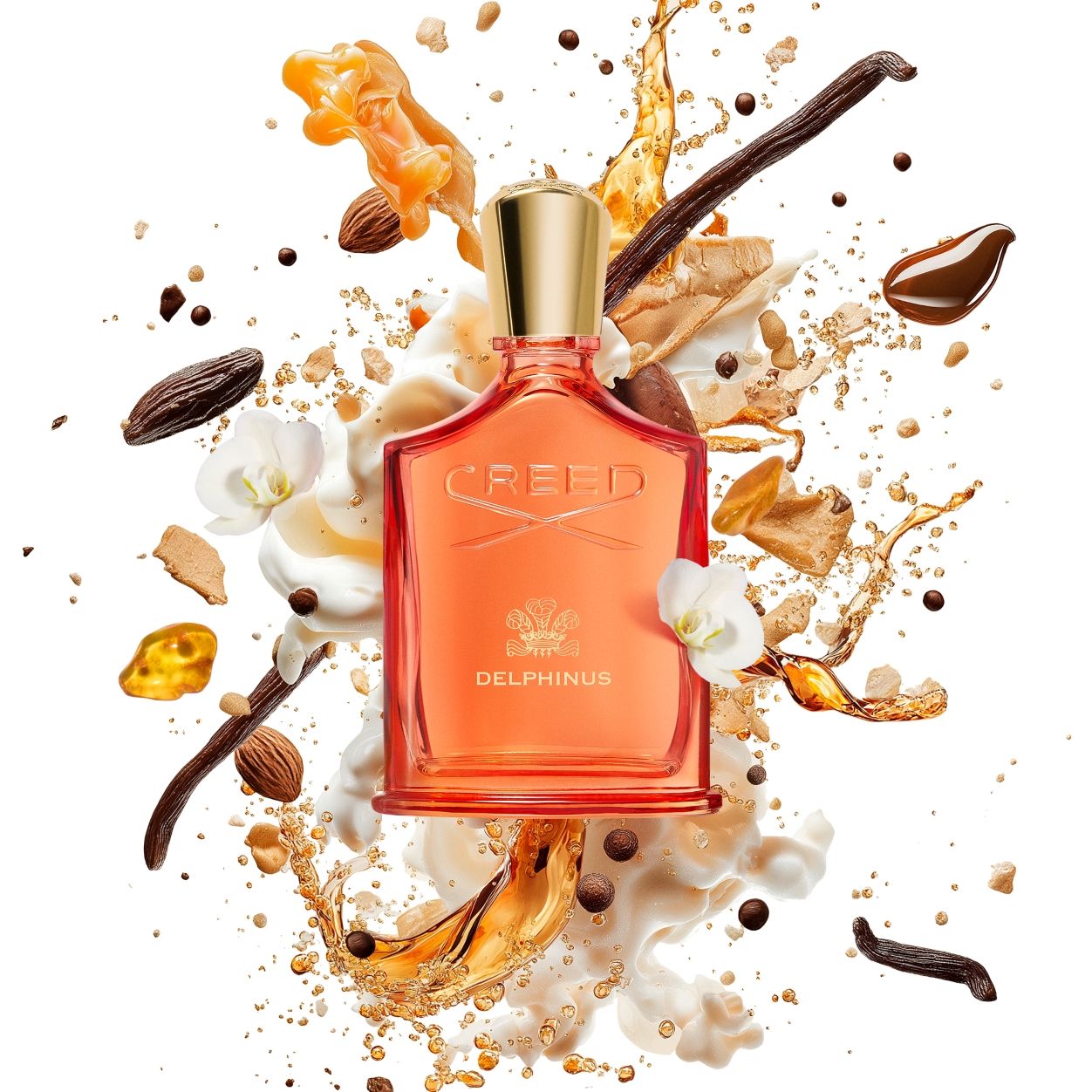 Delphinus Eau de Parfum
