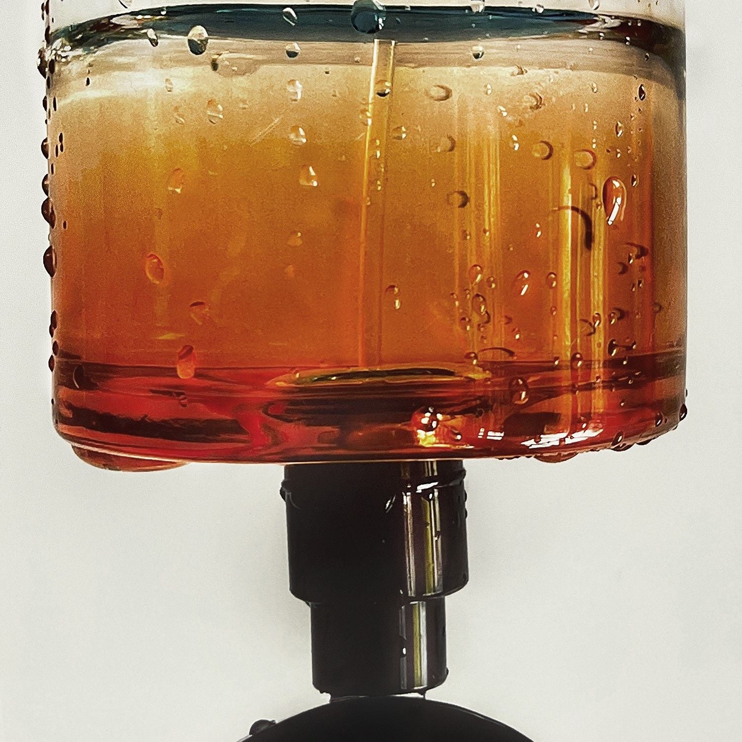 Free 00 Eau de Parfum