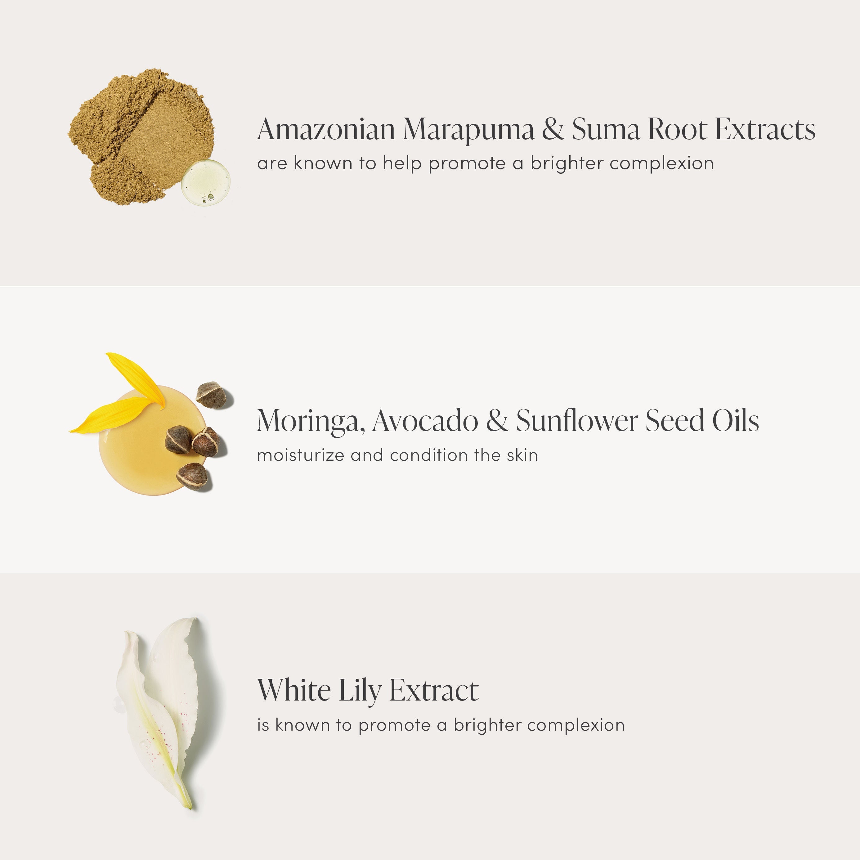 Enlighten Plus Under-Eye Concealer