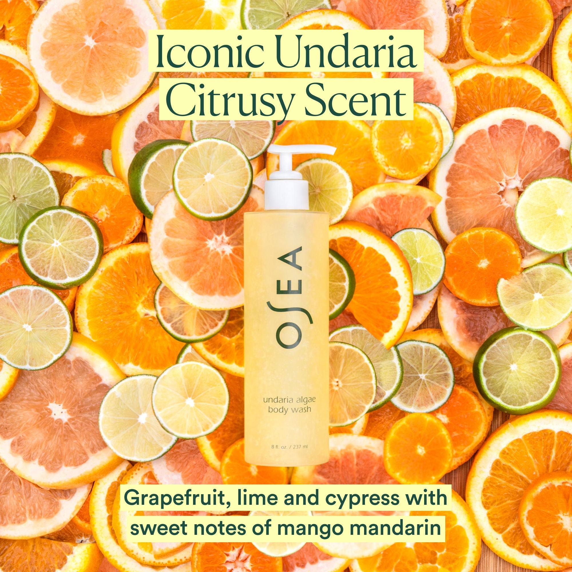 Undaria Algae Body Wash