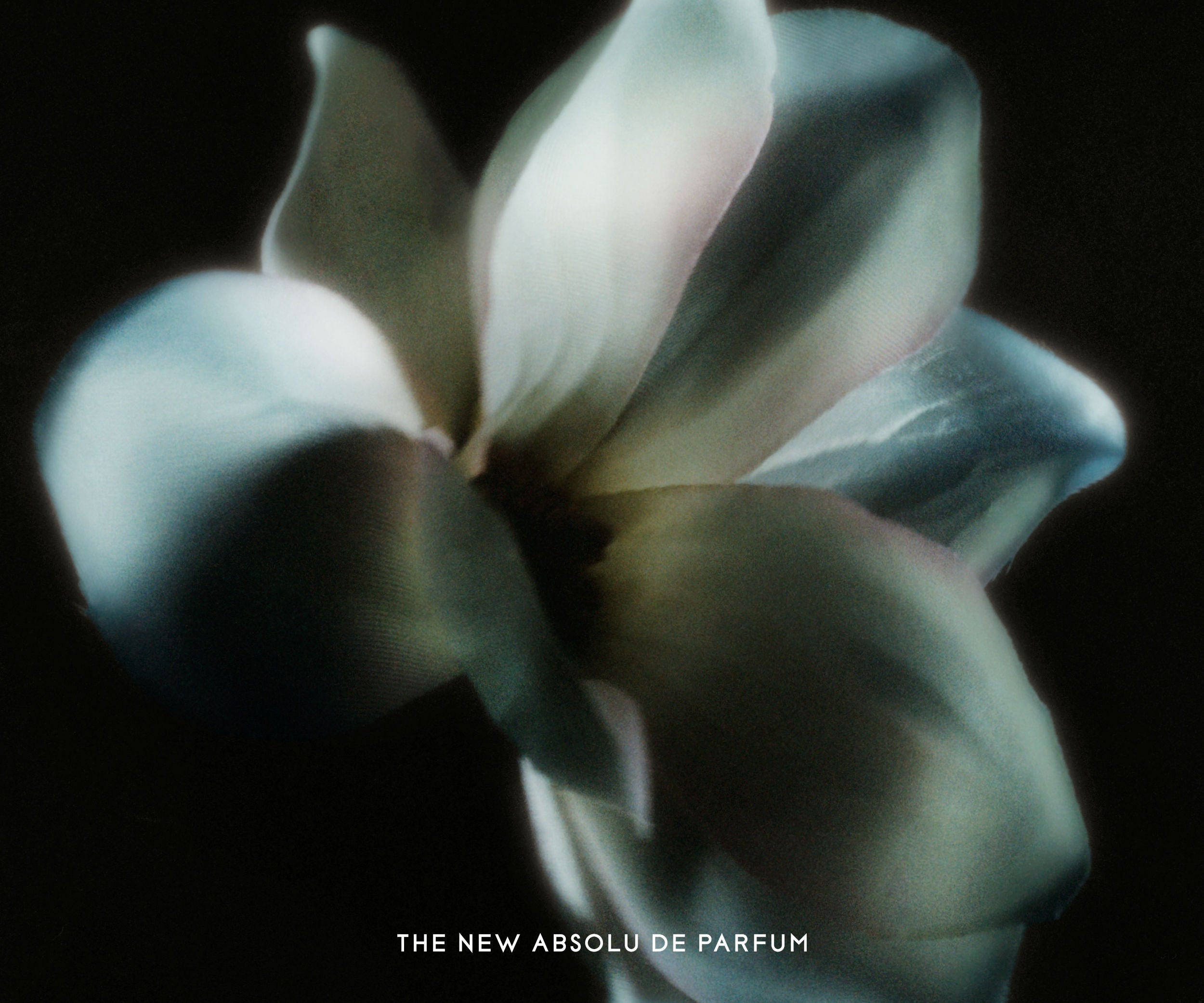 Mojave Ghost Absolu Parfum