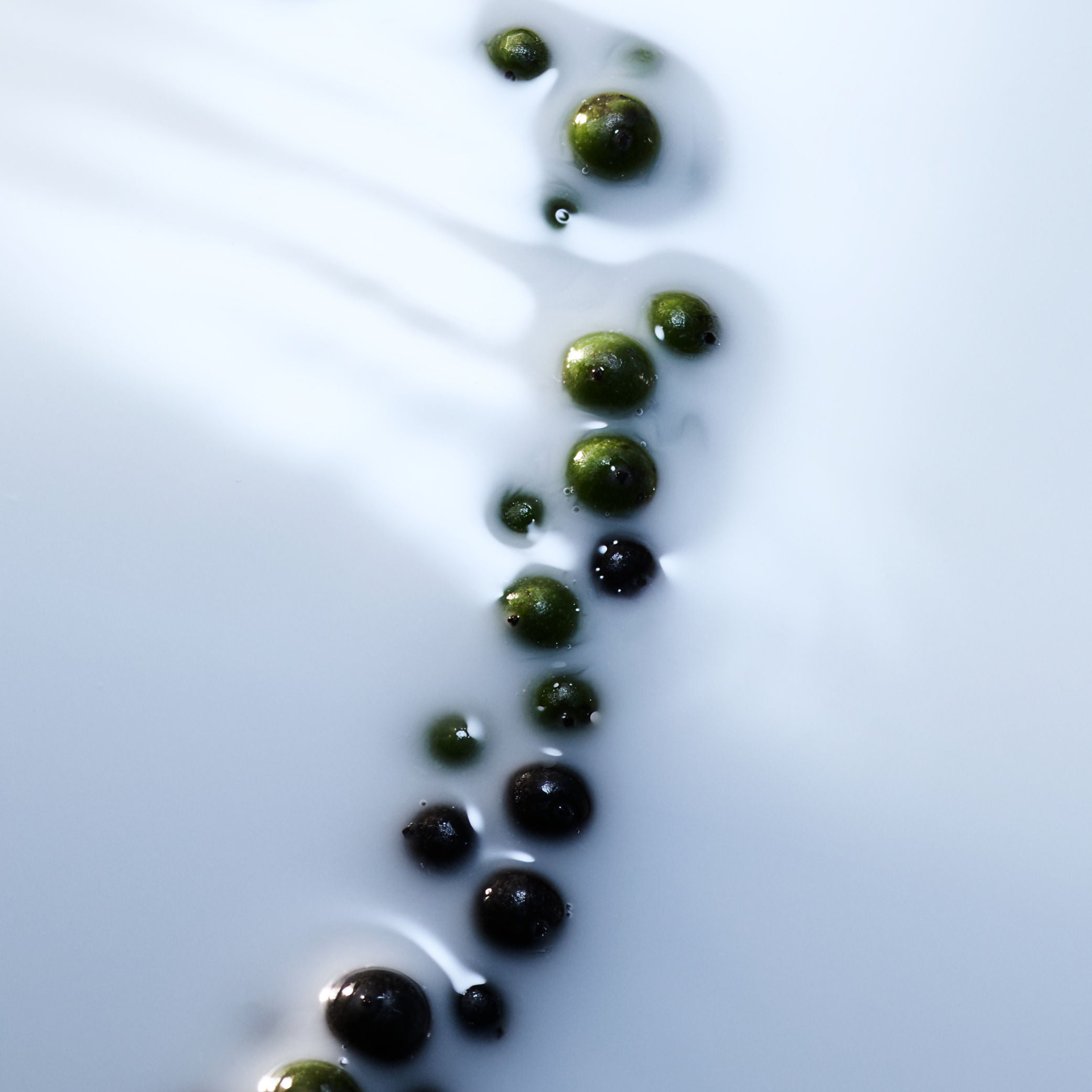 Blanche Absolu Parfum