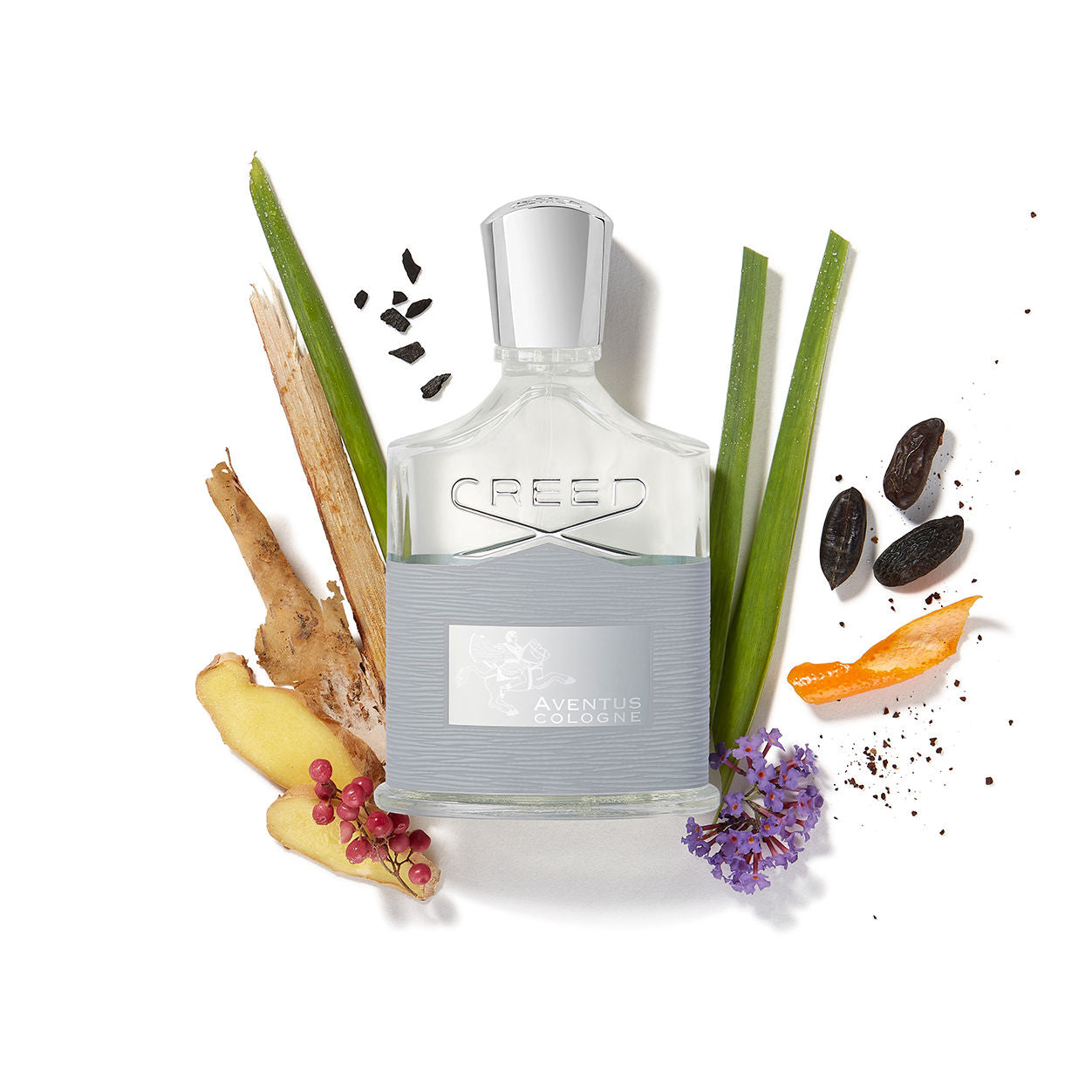 Aventus Cologne