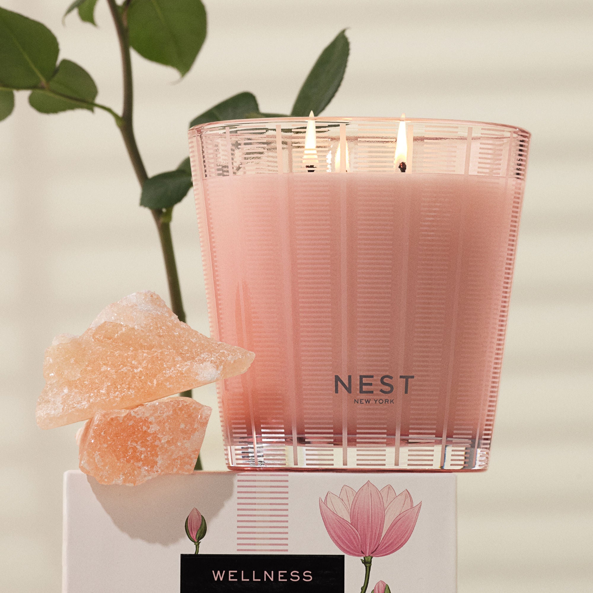 Himalayan Salt & Rosewater Candle